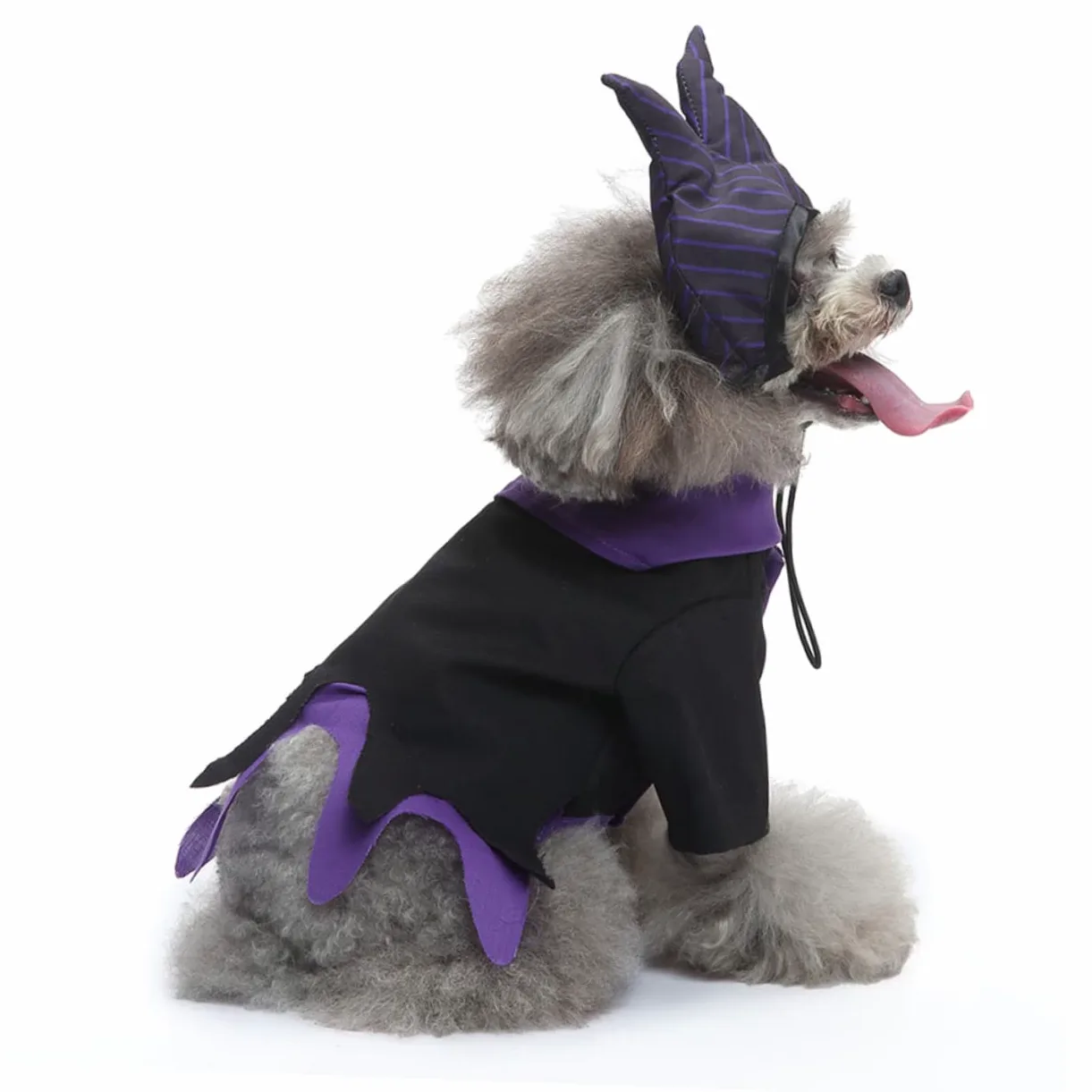 Mipcase 2sets Costume Per Cani Con Elementi Da Strega Abbigliamento Cosplay Per Feste Di Halloween Veste Divertente e Unica Per Cani e Gatti Materiale Traspirante e Confortevole