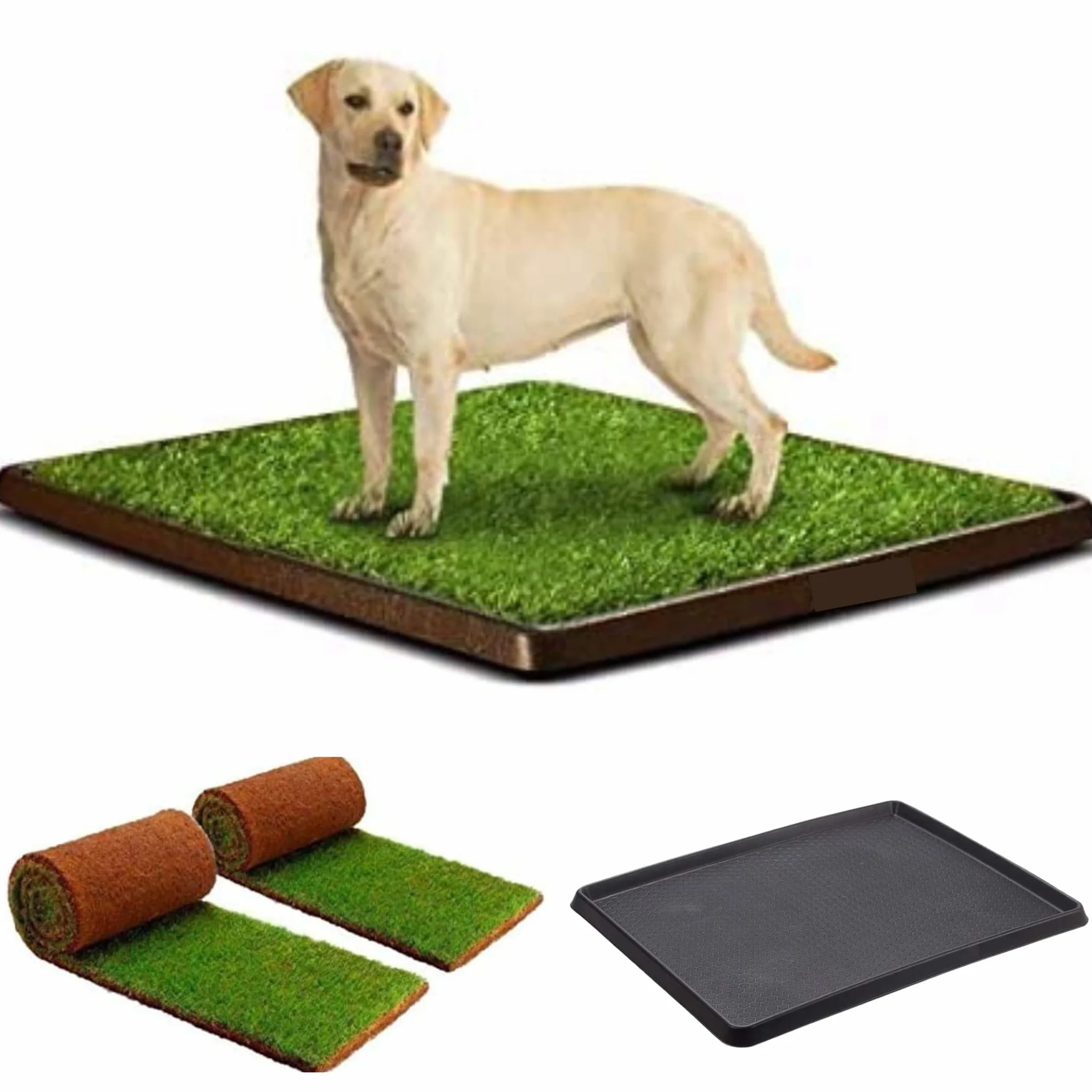 Kit XL cane PetZolla - Lettiera per cani in Vera Erba con Vassoio Riutilizzabile 100X90 cm, Traversine cane 100% Naturali e Atossiche, Toilette per cani in vero prato dura fino a 4 Settimane