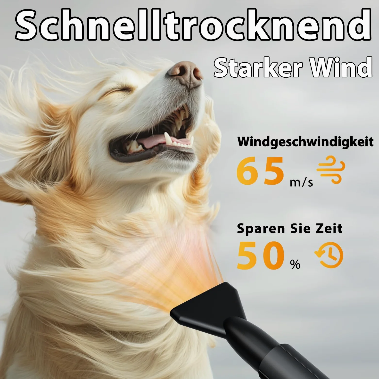 Soffiatore per Cani 3000W Blower Molto Silenzioso velocità Regolabile, Ventilatore per la Cura del Cane con 4 Diversi ugelli e Tubo Elastico