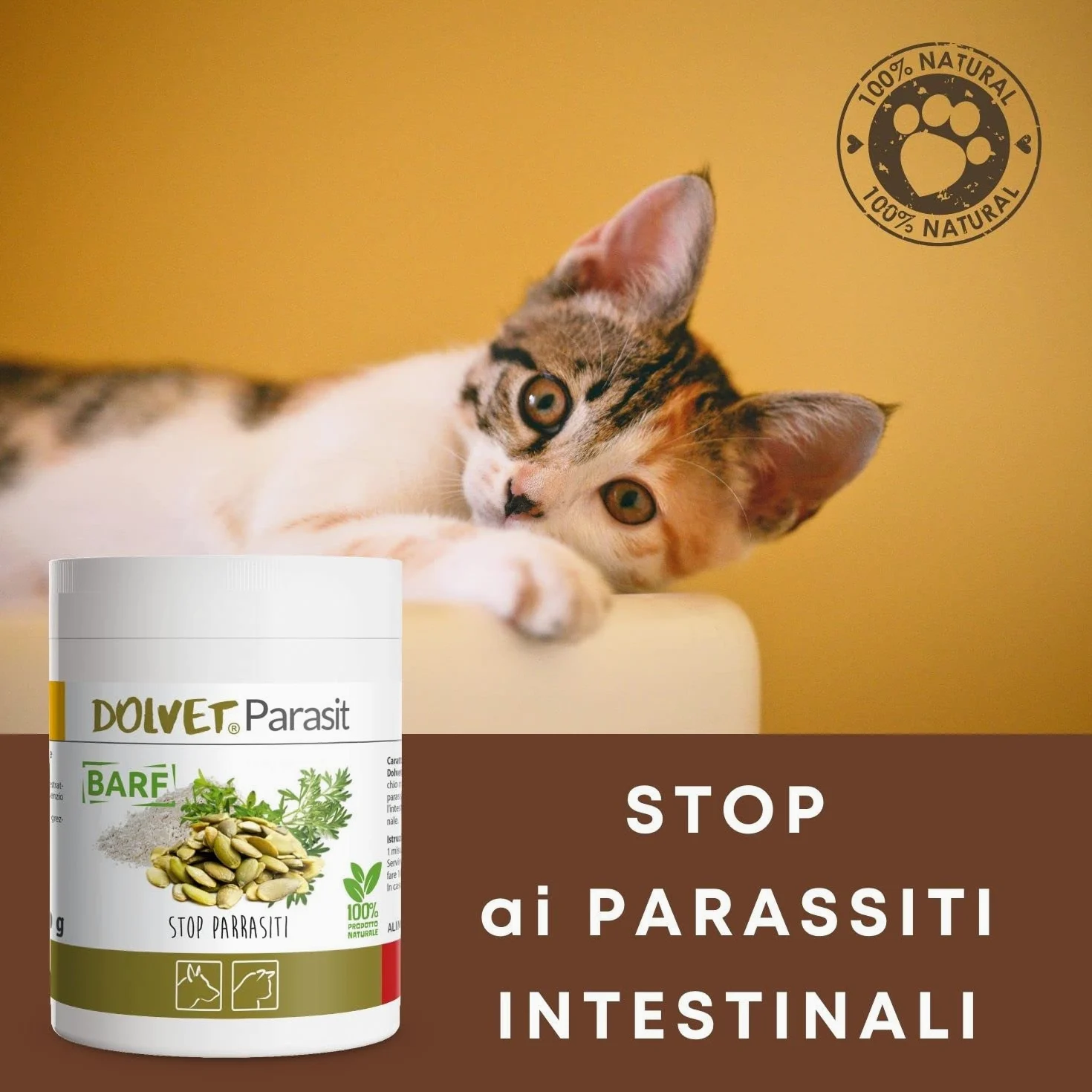 Dolvet Parasit Vermifugo per Cani e Gatti 70 grammi, Formulazione naturale sverminante, Combatte i Parassiti e Vermi dell'Intestino - Linea BARF