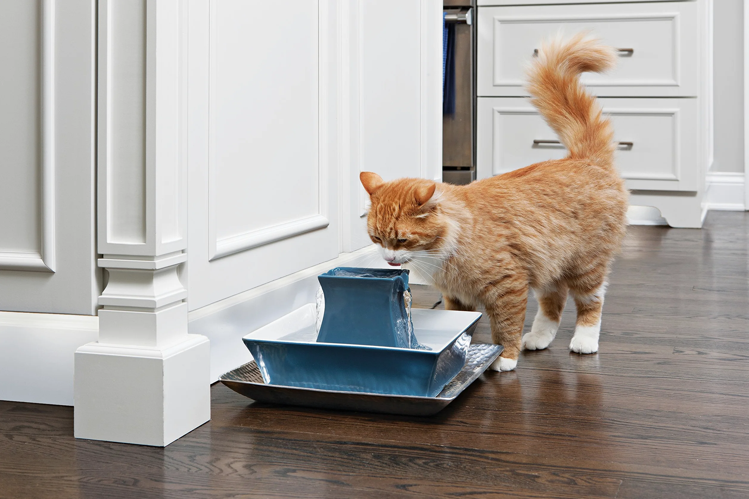 PetSafe Drinkwell Pagoda - Fontana per Bere per Cani e Gatti in Ceramica, Design Minimalista per Uso Domestico e Capacità di 2 Litri - Blu