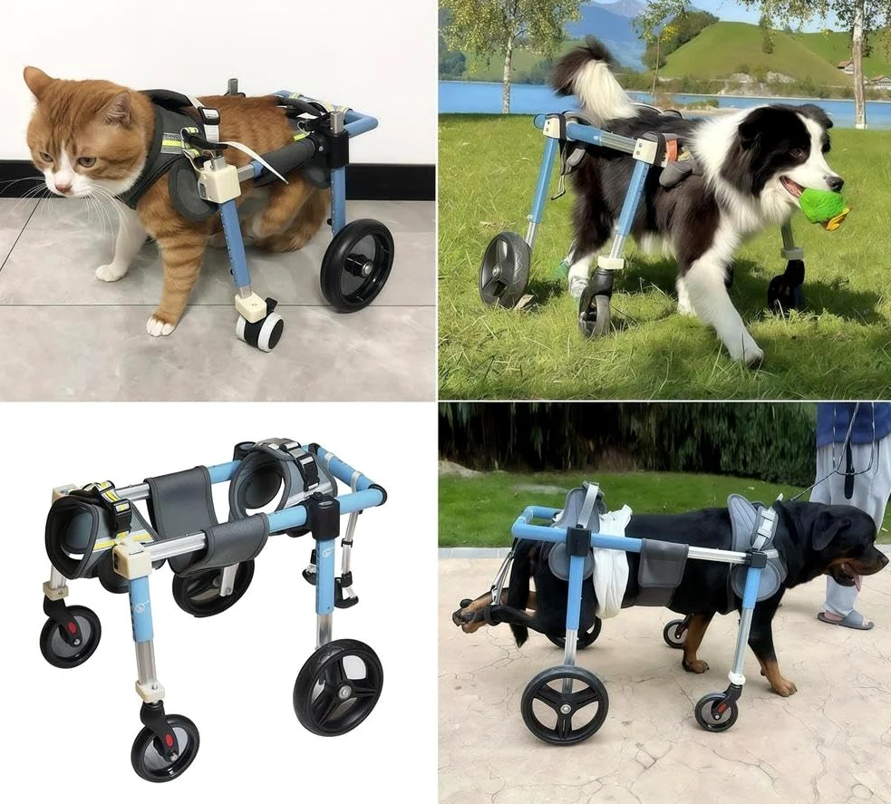 Supporto per Gambe Regolabile per Sedia A Rotelle per Cani A 4 Ruote, Sedia A Rotelle per Gambe Posteriori per Cani, Ausilio per La Mobilità A Supporto Completo