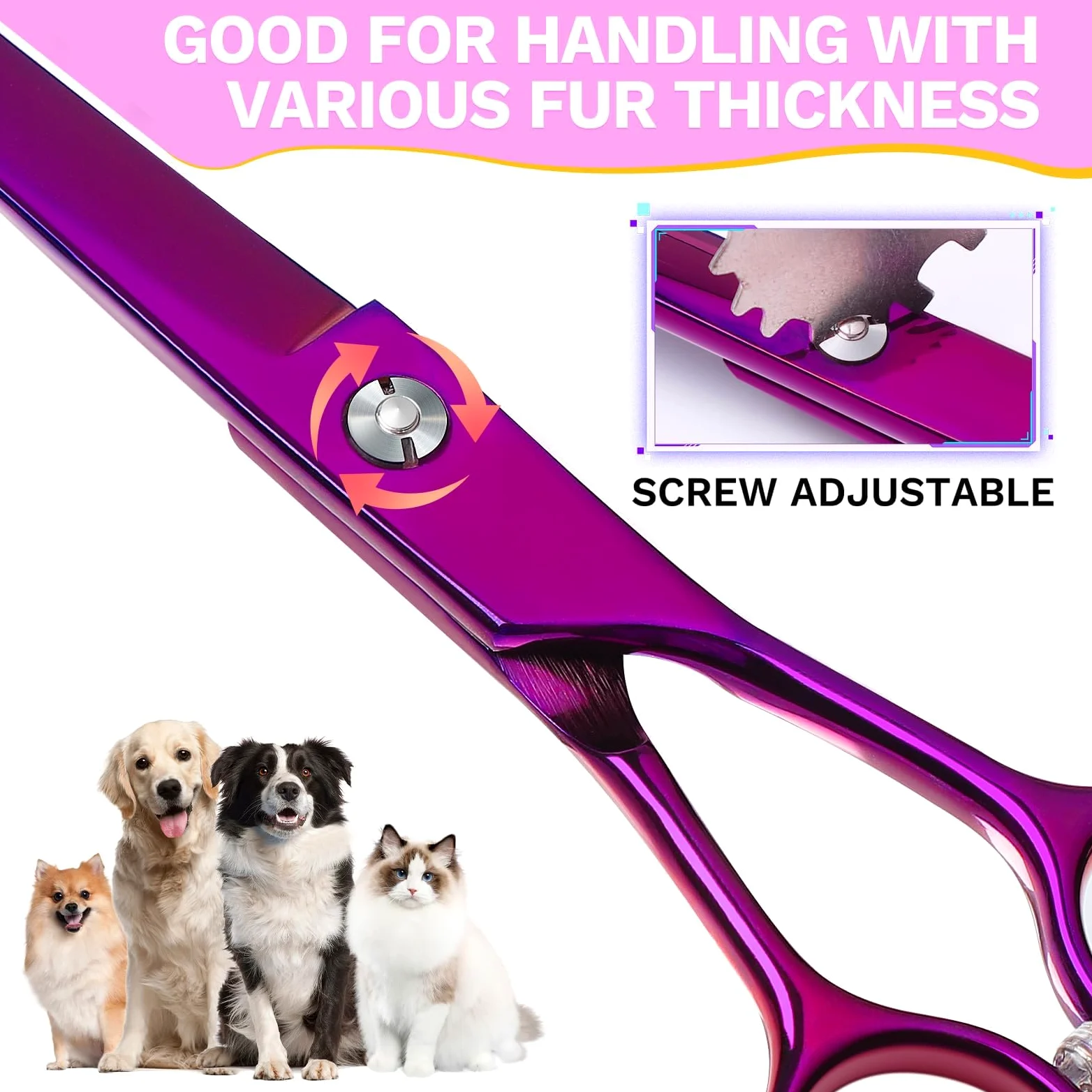 JASON Forbici professionali curve per cani - Forbici per cani da toelettatura da 7,5" Forbici per animali domestici per la toelettatura di cani e gatti (curve verso il basso, viola)