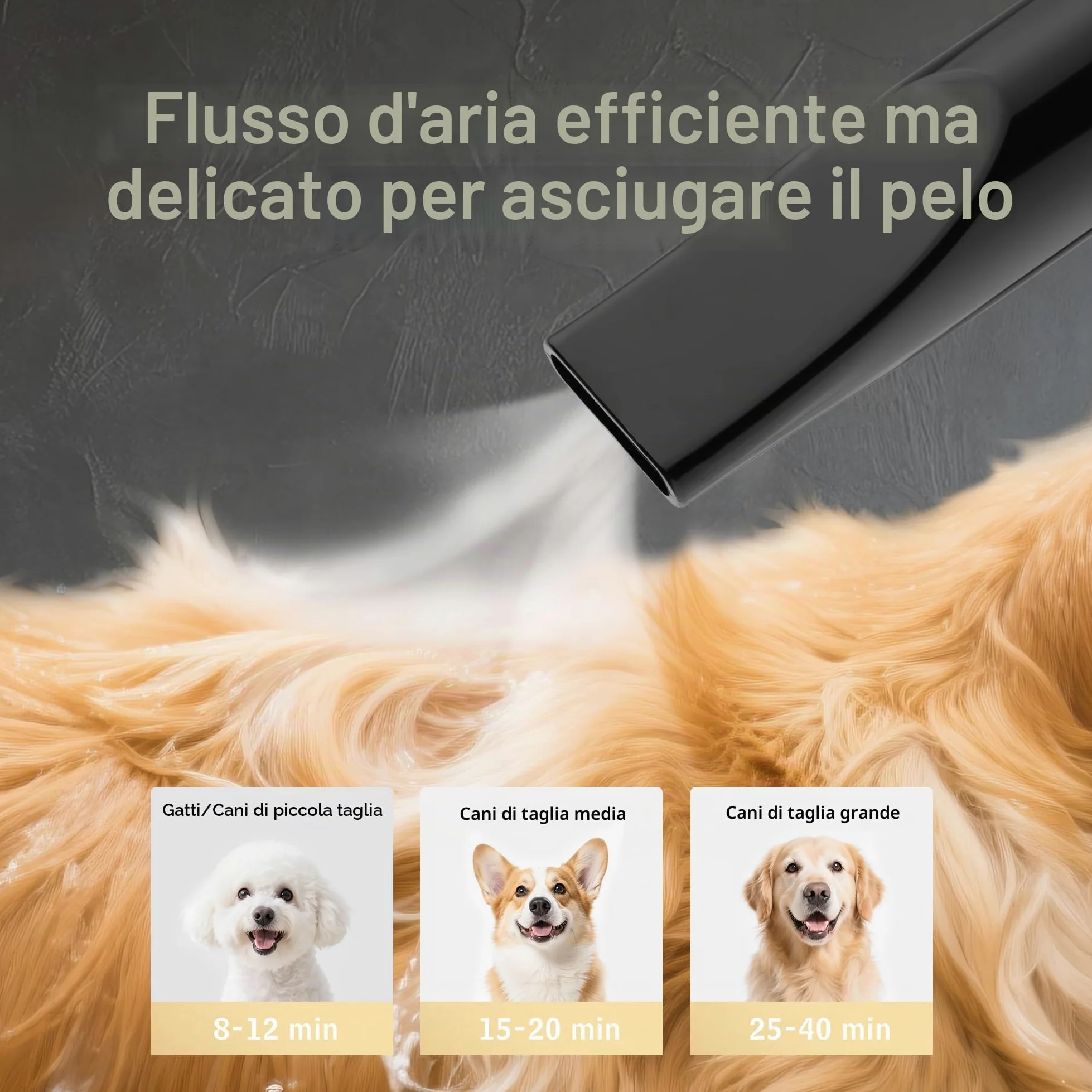 DEWINNER 2 in 1 Asciugacapelli Professionale per Cane, Blower 3200 W con Aspirapolvere, Velocità e Temperatura Regolabili, Silenzioso, 5 Ugelli, Tubo Elastico + Spazzola