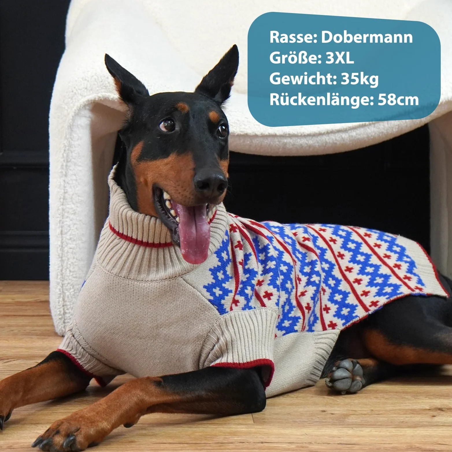 Cani Maglione Albicocca