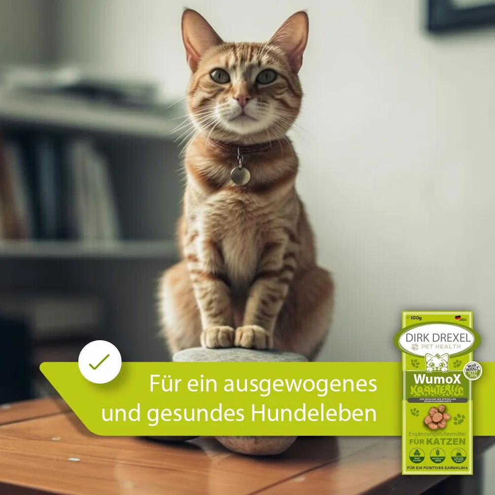 WumoX Herblis per gatti | Tratta con estratti di erbe | nutrizione naturale per rafforzare l'ambiente intestinale | con vero vermouth | alternativa naturale