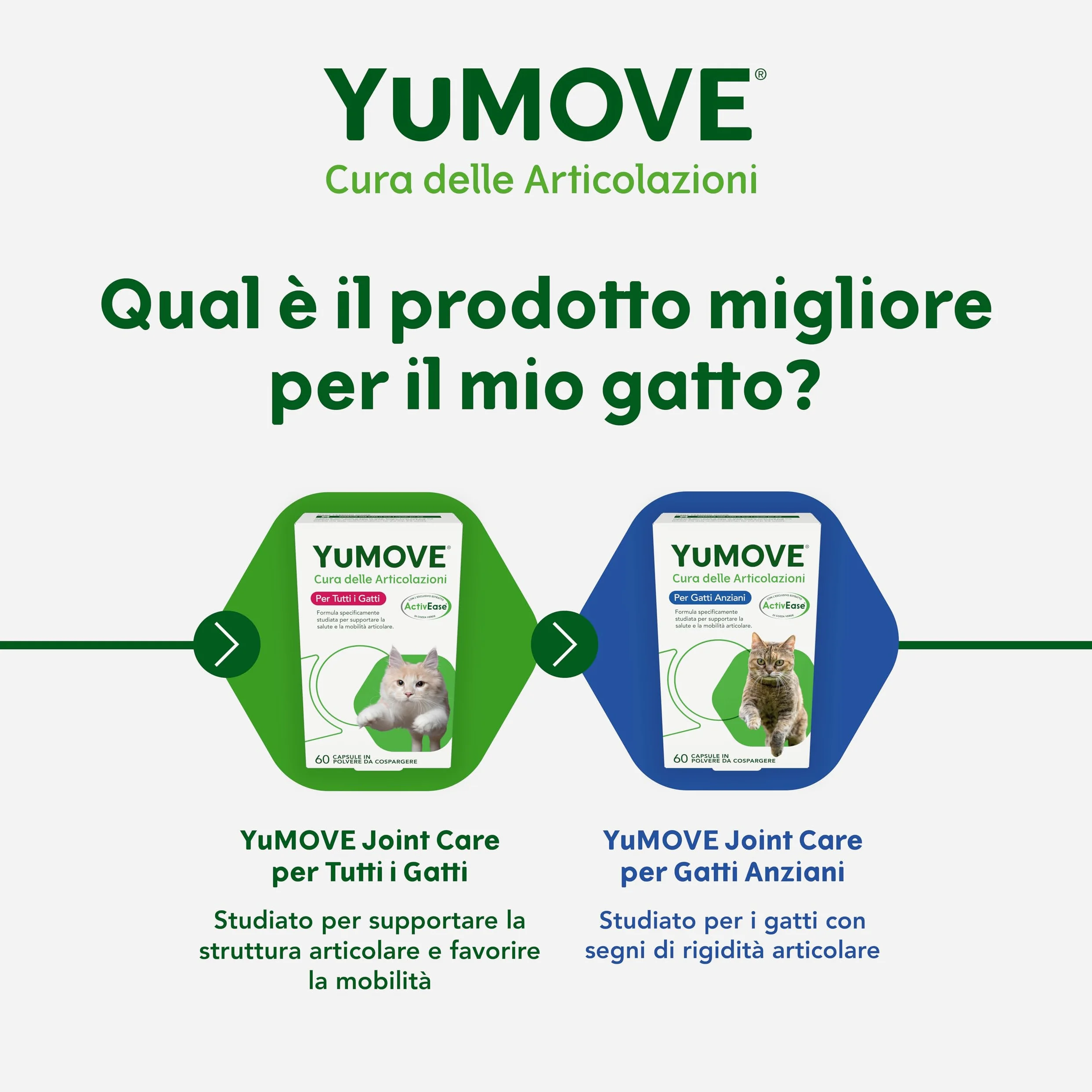 YuMOVE Integratore Articolazioni Gatti 8+ Anni - 60 Capsule Da Spolverare - In Attesa di Brevetto 100mg di Cozza Verde ActivEase per Capsule - Joint Care Gatti Articolazioni Glucosamina & Condoitina