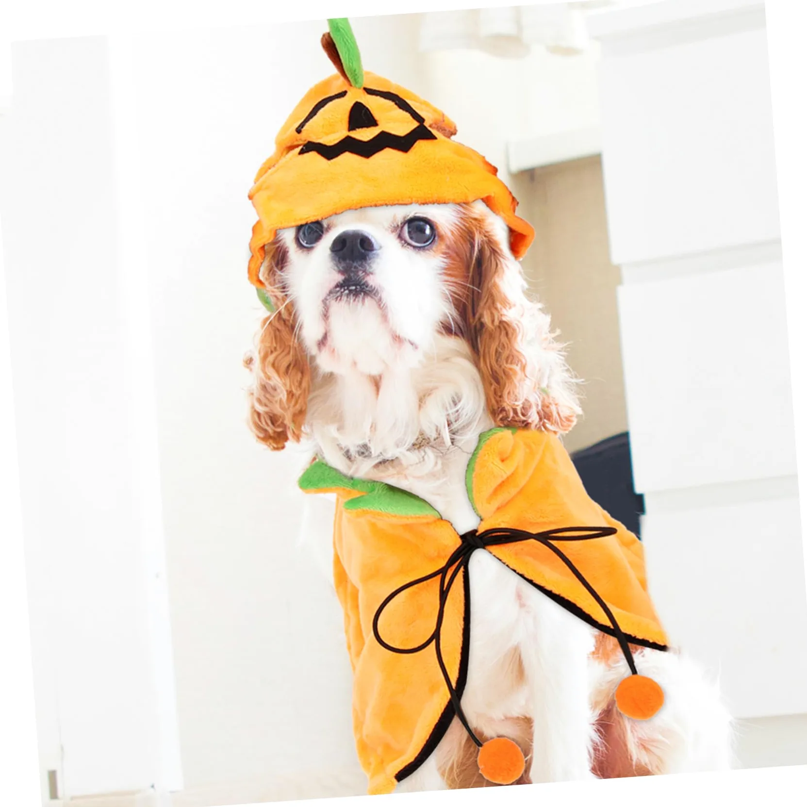 POPETPOP 3 Set Mantello Per Animali Domestici Vestiti Di Zucca Per Cani Costume Da Cane Mantello Per Cappello Da Compagnia Animale Domestico a Doppia Faccia Cappello Per Gatto Peluche