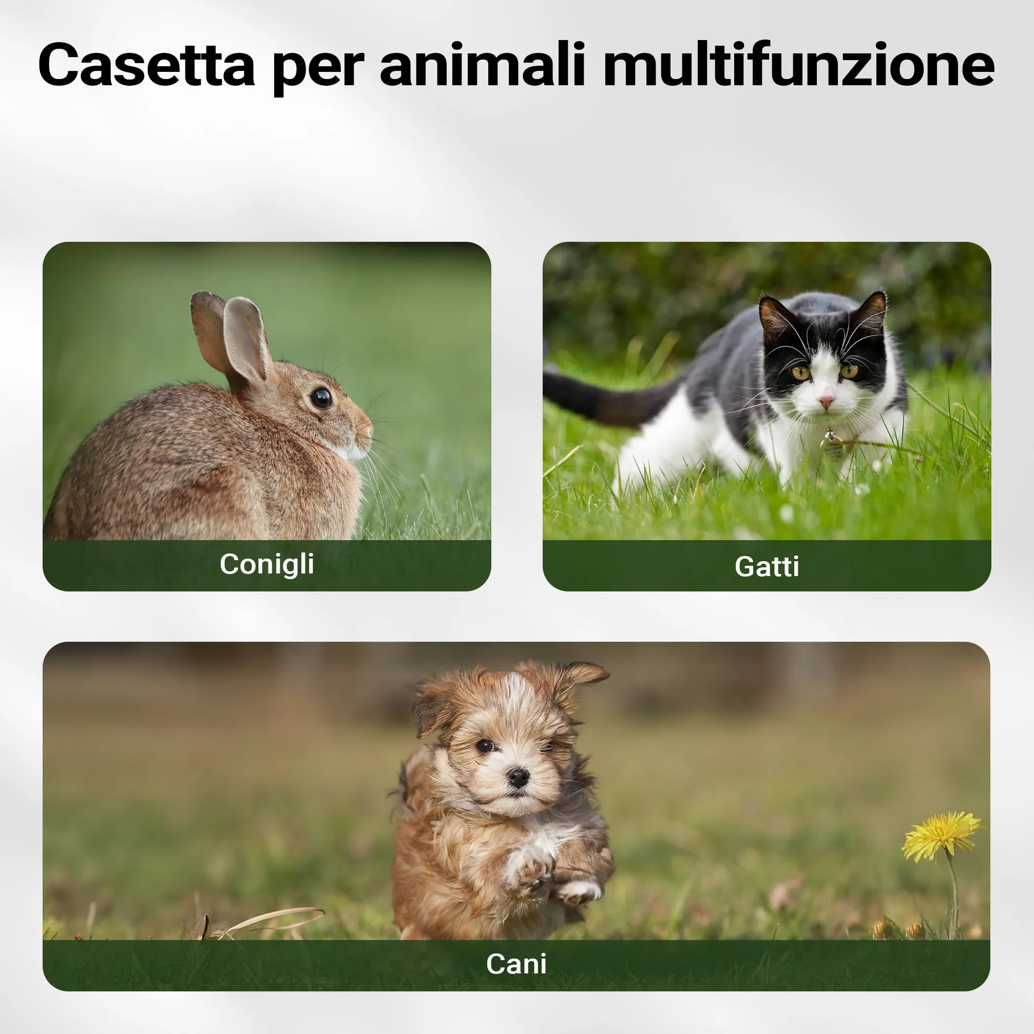 Cuccia per cani Luxus XL con patio in legno per uso esterno
