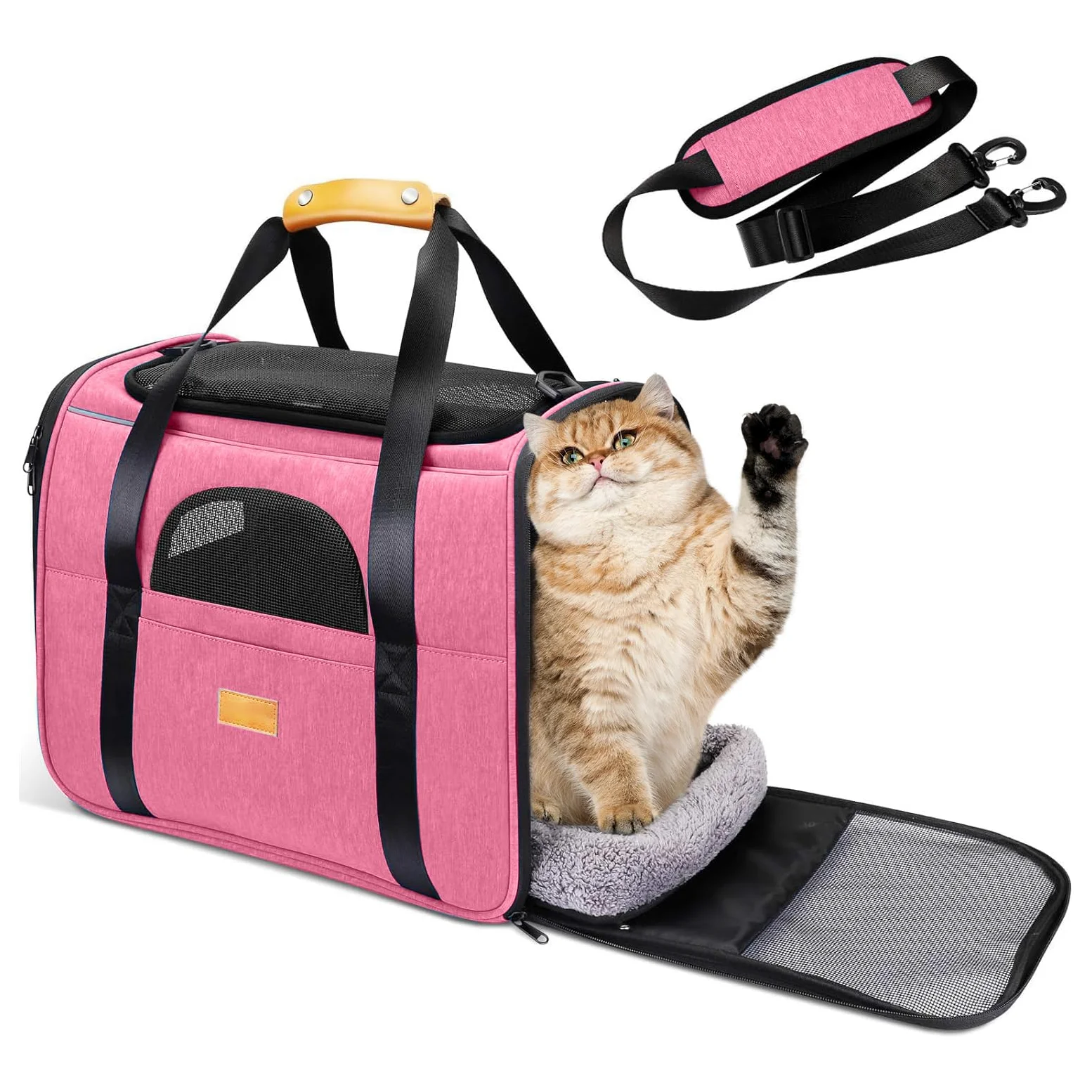 PETCUTE Trasportino per Cani e Gatti, Portabile e Pieghevole Trasportino per Gatti con Tracolla Regolabile, Borsa Trasportino per Piccolo Animale Domestico,Tappetino Rimovibile,per Viaggio in Aereo