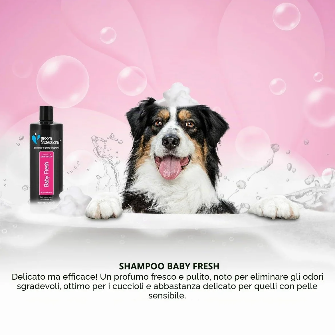 Groom Professional Baby Fresh Dog Shampoo (4 L) – Salon Size 20 : 1 Concentrate, Gentle Aloe Vera Formula, Deep Cleaning for Puppies or Sensitive Skin, Fresh Baby Powder Scent, Made in UK