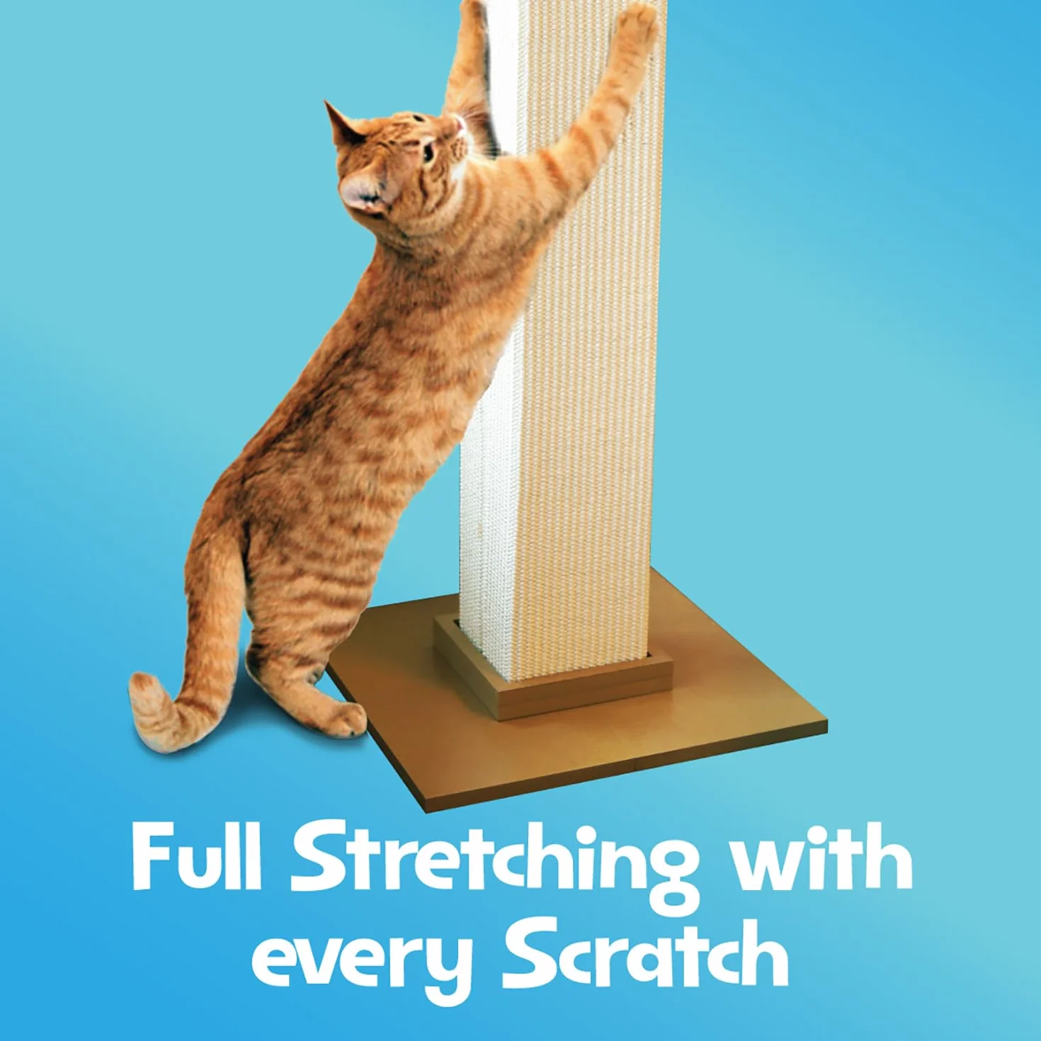 Smart Cat - Tiragraffi definitivo