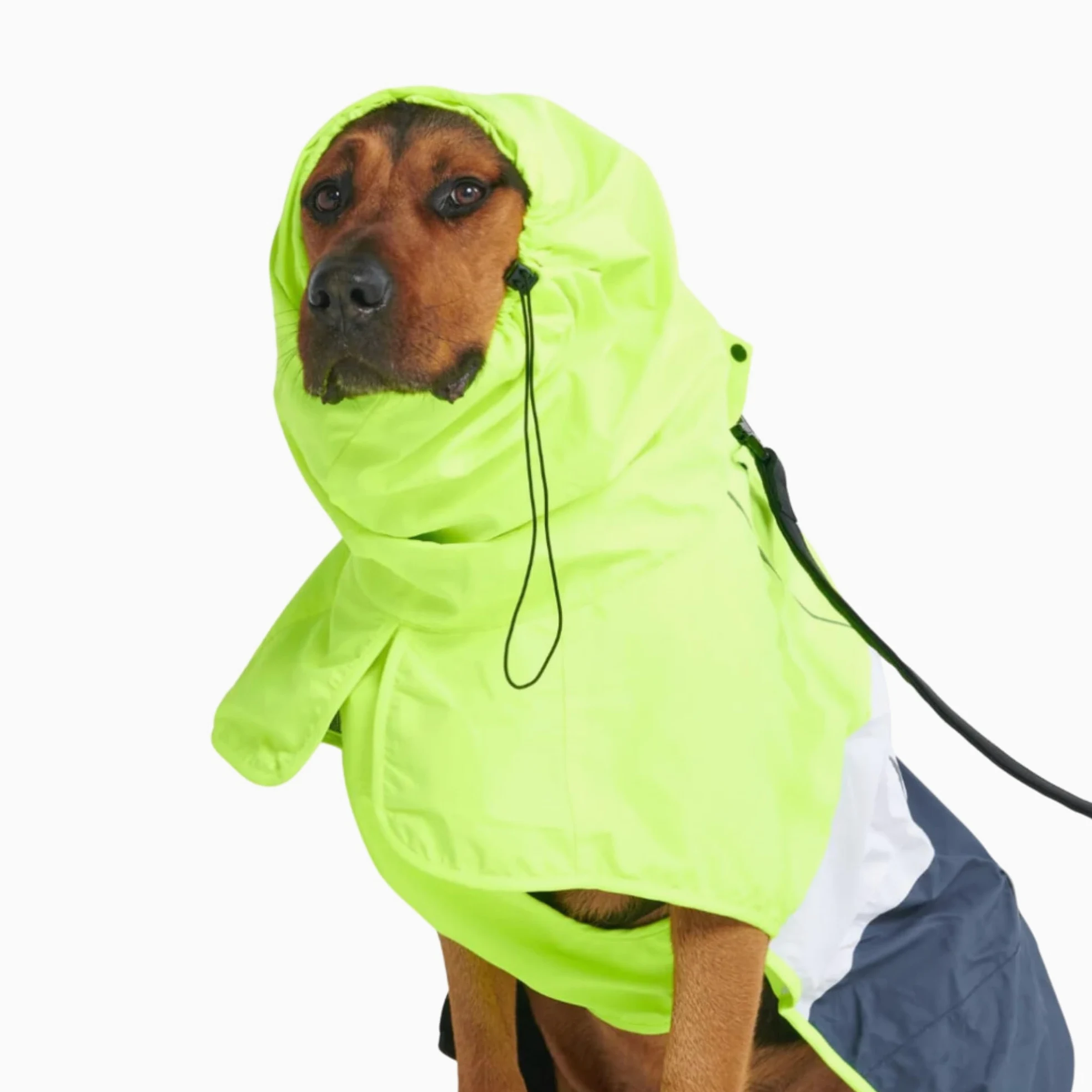 Spark Paws Impermeabile per cani, impermeabile con cappuccio, copertura completa | Rivestimento impermeabile completo con Pancia, riflettente, con fori coperti, per cani leggeri, piccoli, medi e grandi