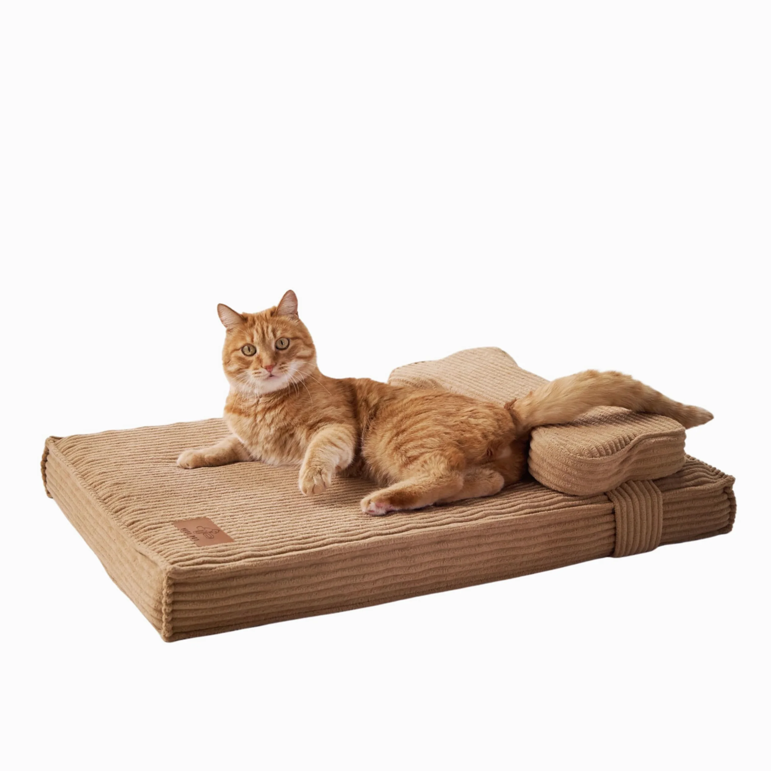 Cuccia Gatto Ortopedica con Cuscino Sfoderabile e Lavabile – Materasso Alta Densità Impermeabile, Base Antiscivolo, Letto Comfort per Gatti Adulti e Anziani, Design Premium (SMALL)