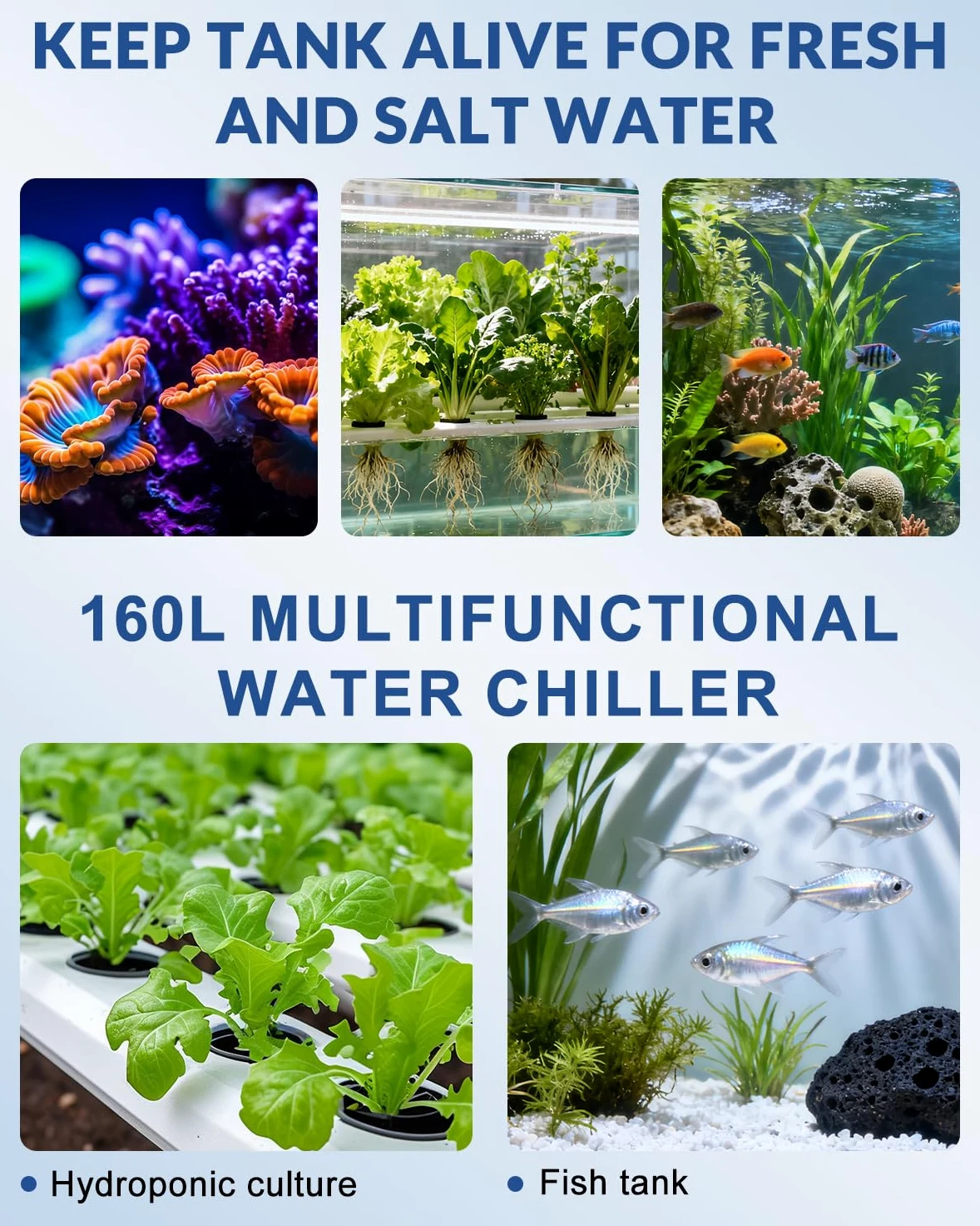 BAOSHISHAN 160L Acquario Refrigeratore d'acqua Chiller Bonus Kit pompa Fish Tank Chiller Frutti di mare Attrezzature per la coltivazione di acqua dolce/salata Erbacce 220 V (Unità: ℃)