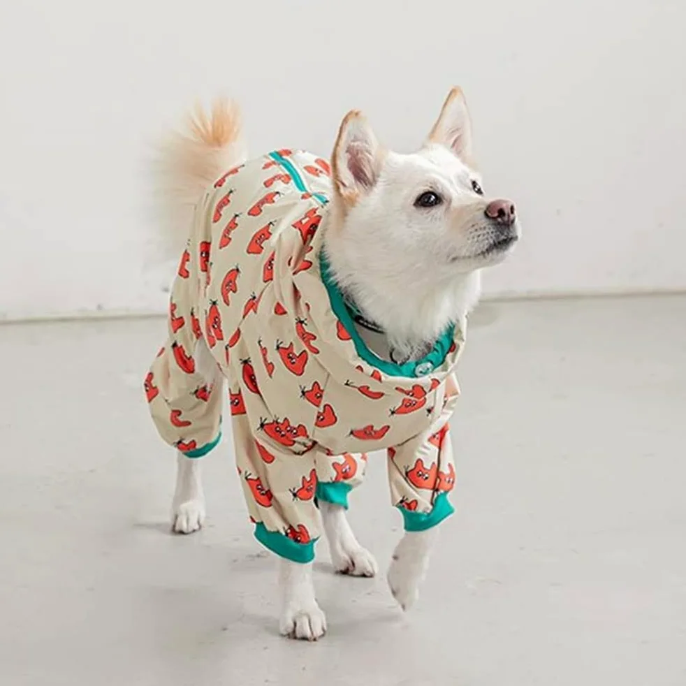 Impermeabile per Cani da Compagnia Impermeabile Universale A Quattro Zampe per Cani di Grossa Taglia all Inclusive con Impermeabile,Blu,3XL