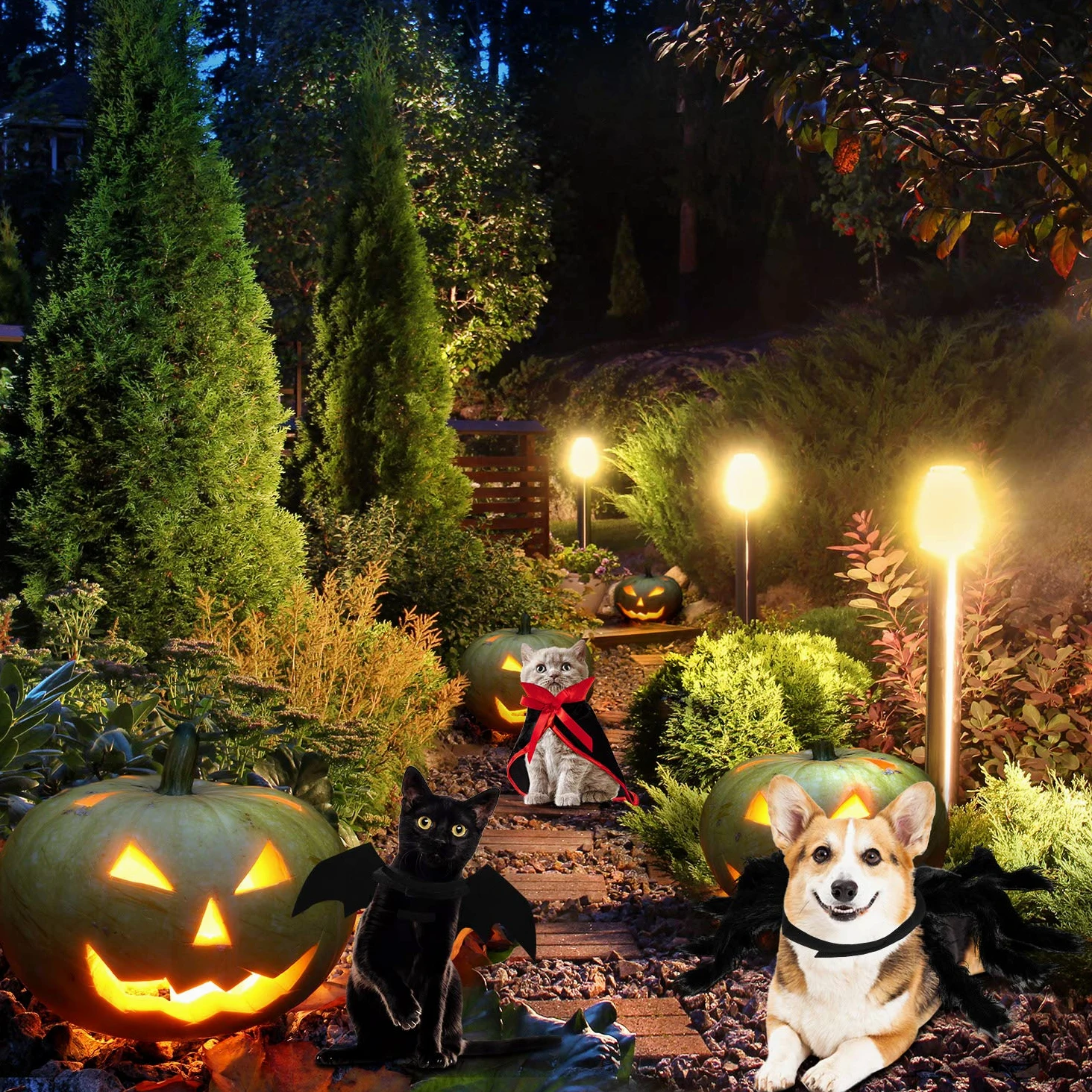 3 Set Costumi per Cani Gatto di Halloween, Ali Pipistrello da Animale Mantello Vampiro Strega Imitazione Gigante Ali di Ragno Accessori Cosplay Costume Animali Halloween Decor Ala per Cani Gatti