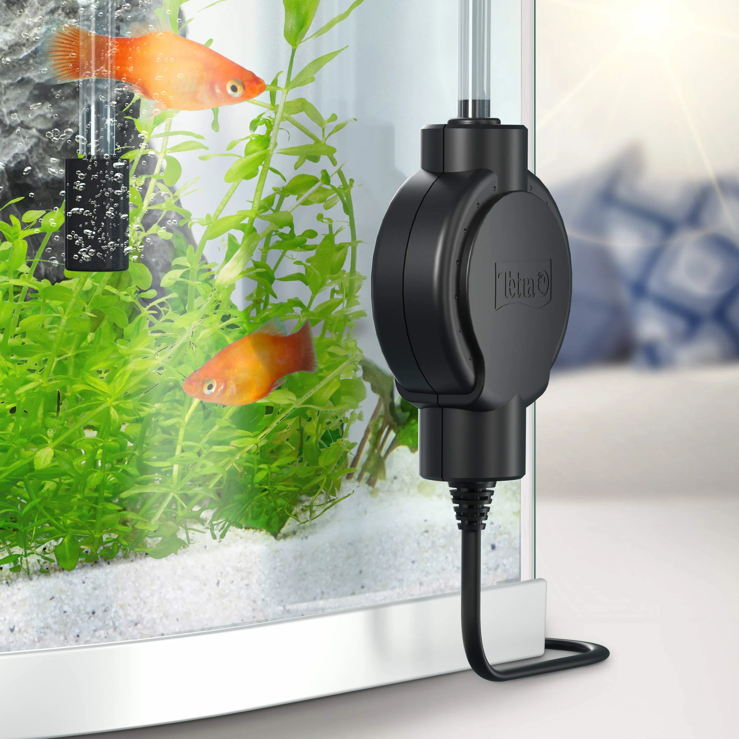 Tetra AirSilent Maxi - Aeratore per acquari Silenzioso e Compatto, Set Completo Dotato di Pietra porosa, 40 a 80 Litri