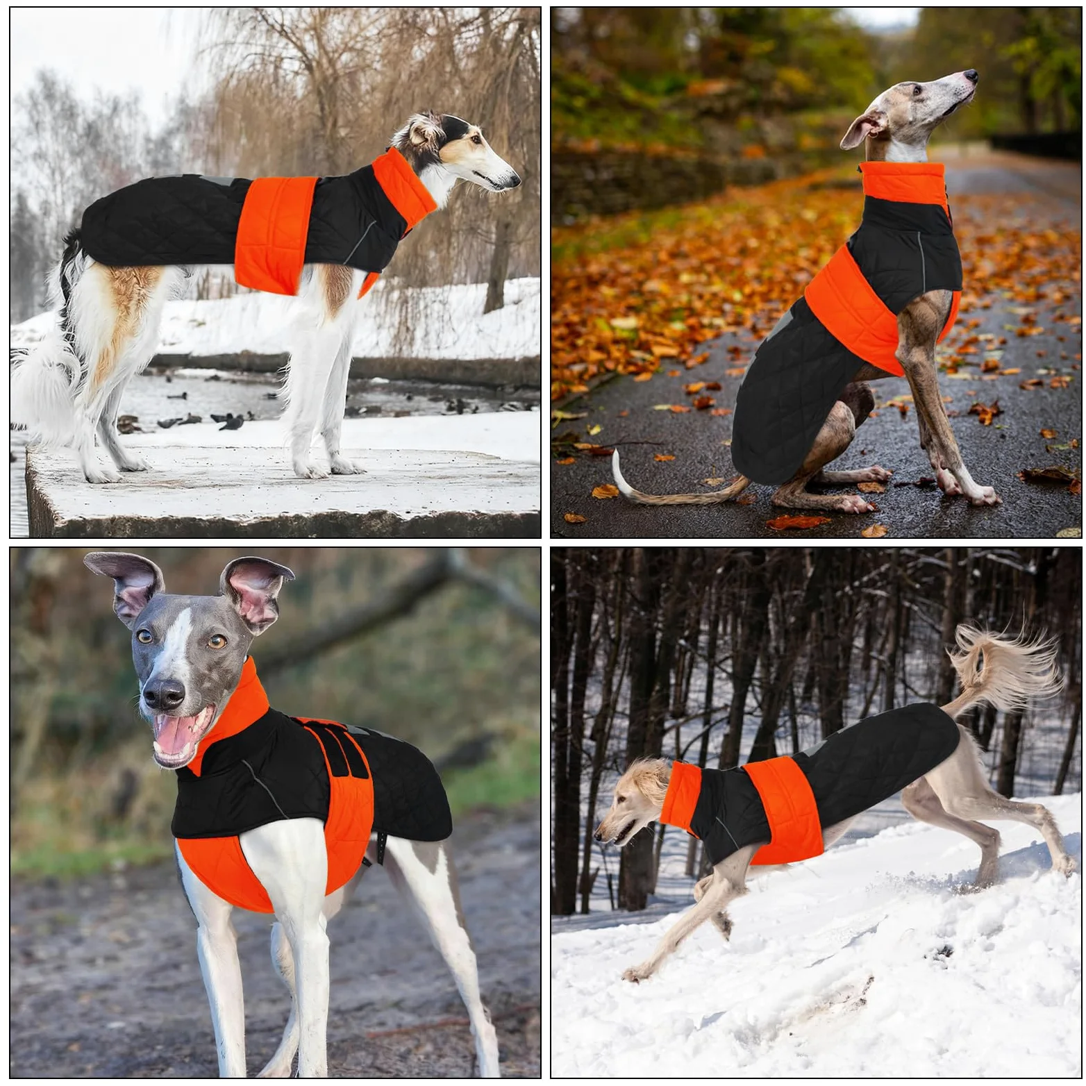 Cappotto Lurchers Invernale, Giacca Impermeabile Levrieri Giacca Calda Cani Piumino Cani Cappottino Imbottito Cani