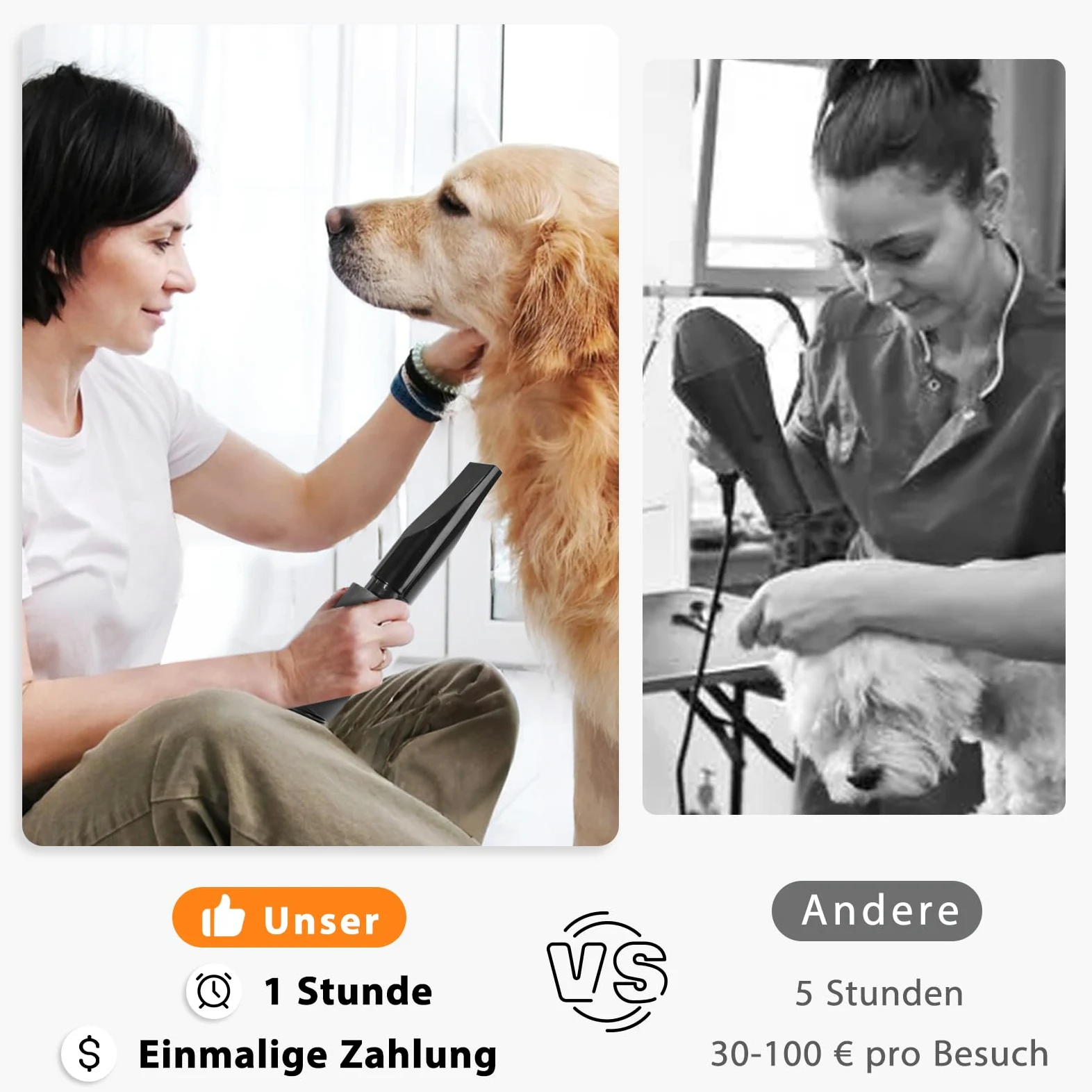 Soffiatore per Cani 3000W Blower Molto Silenzioso velocità Regolabile, Ventilatore per la Cura del Cane con 4 Diversi ugelli e Tubo Elastico
