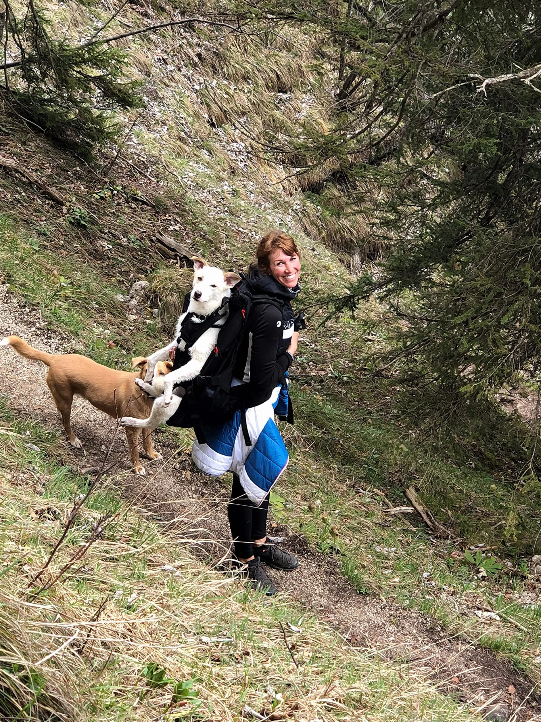 PREMIUM Zaino per Cani Sacchetto del Cane Borsa da Trasporto per Cani 15-30