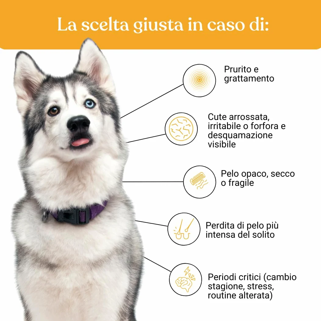 Bau Dermatite Cane e Prurito in Pasta – Stop Dermatosi Integratore Pelle e Mantello – per Perdita Pelo, Cute Irritata e Forfora – Supporto Funzione Dermica in Stick Appetibili