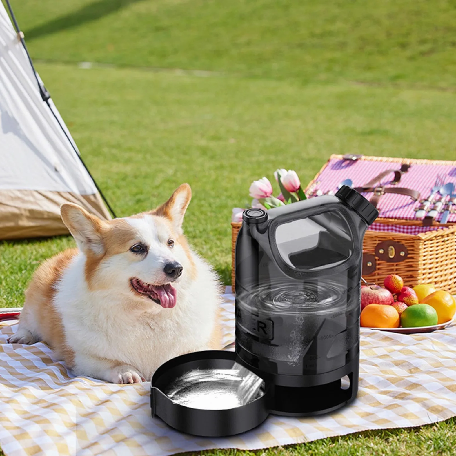 Borraccia Portatile Per Cani Dispenser Acqua Per Cani Da Passeggio | Bottiglia Antigoccia per Vacanze, Escursioni, Campeggio e Spiaggia