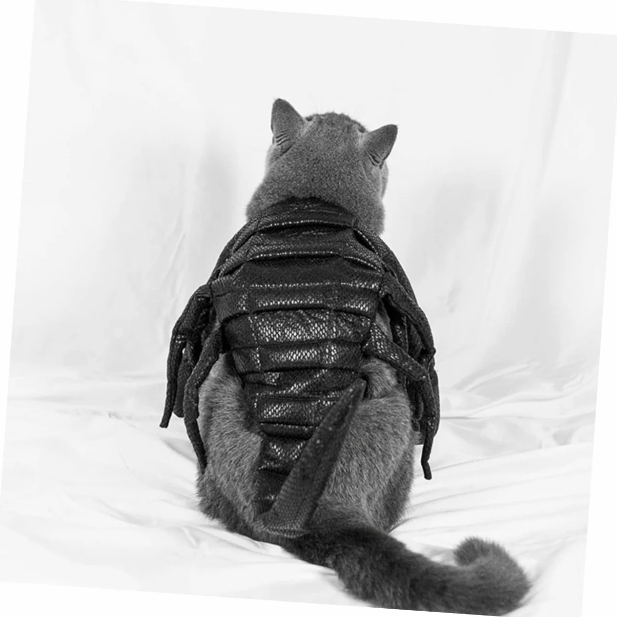 Decorazioni Natalizie,2 Pezzi Abbigliamento per Animali Domestici Felpa con Cappuccio per Cane Felpa con Cappuccio in Lana Vestiti per Gattini Costume per Animali Domesti