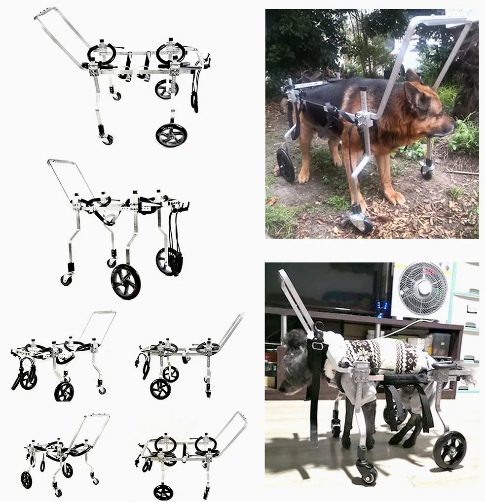 Carrellino Regolabile Sedia a Rotelle per Cani Cane, Riabilitazione per Le Gambe Posteriori/Zampa Anteriore, Adatto Disabili Piedi Gambe/Zampe Posteriori Riabilitazione, 15-75 kg