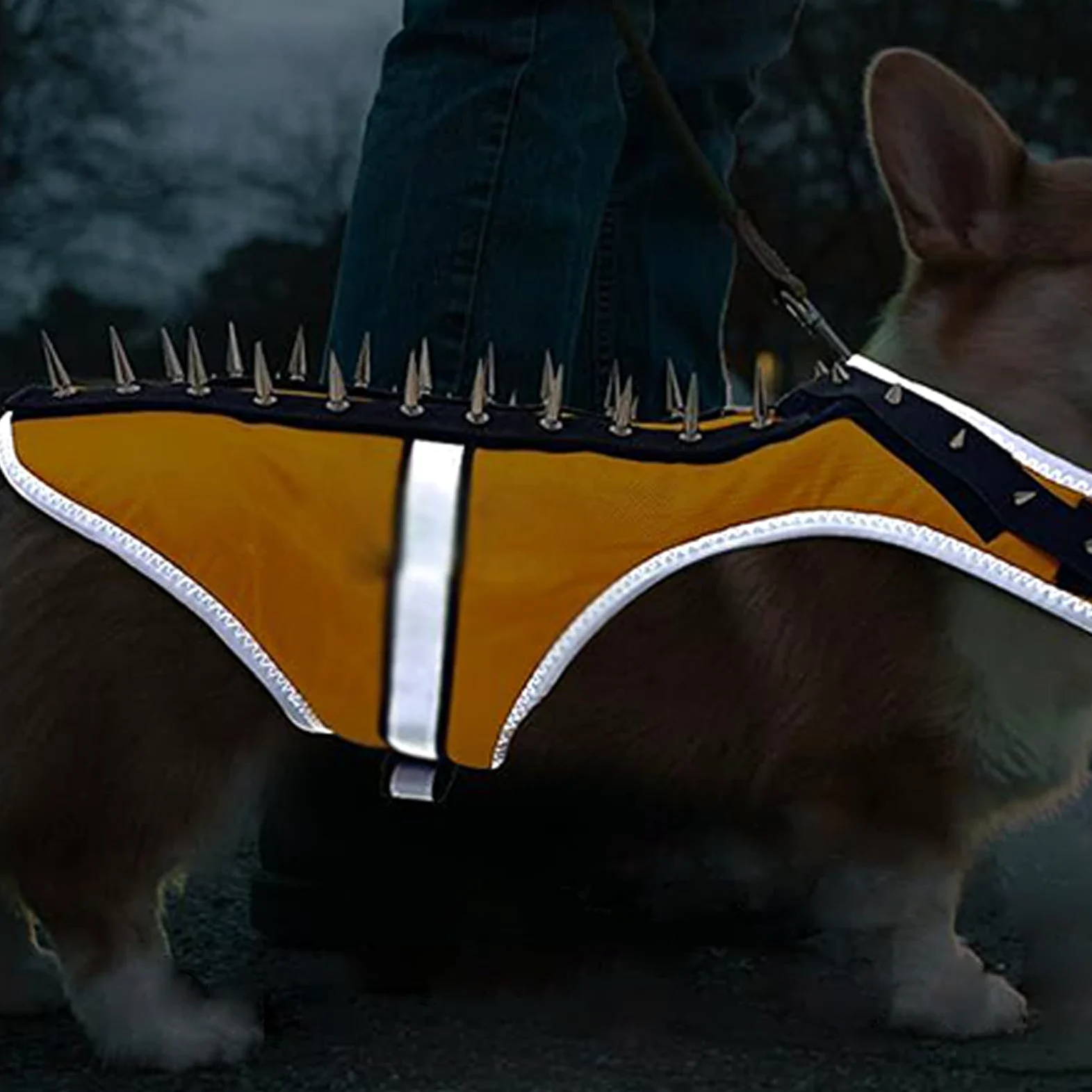 Gilet Anti-Coyote Per Cani Piccoli Pettorina Protettiva Regolabile A Punte | Pettorina Riflettente Per Animali Protezione di Sicurezza Catarifrangente con Punte per Passeggiate Notturne ed Escursi