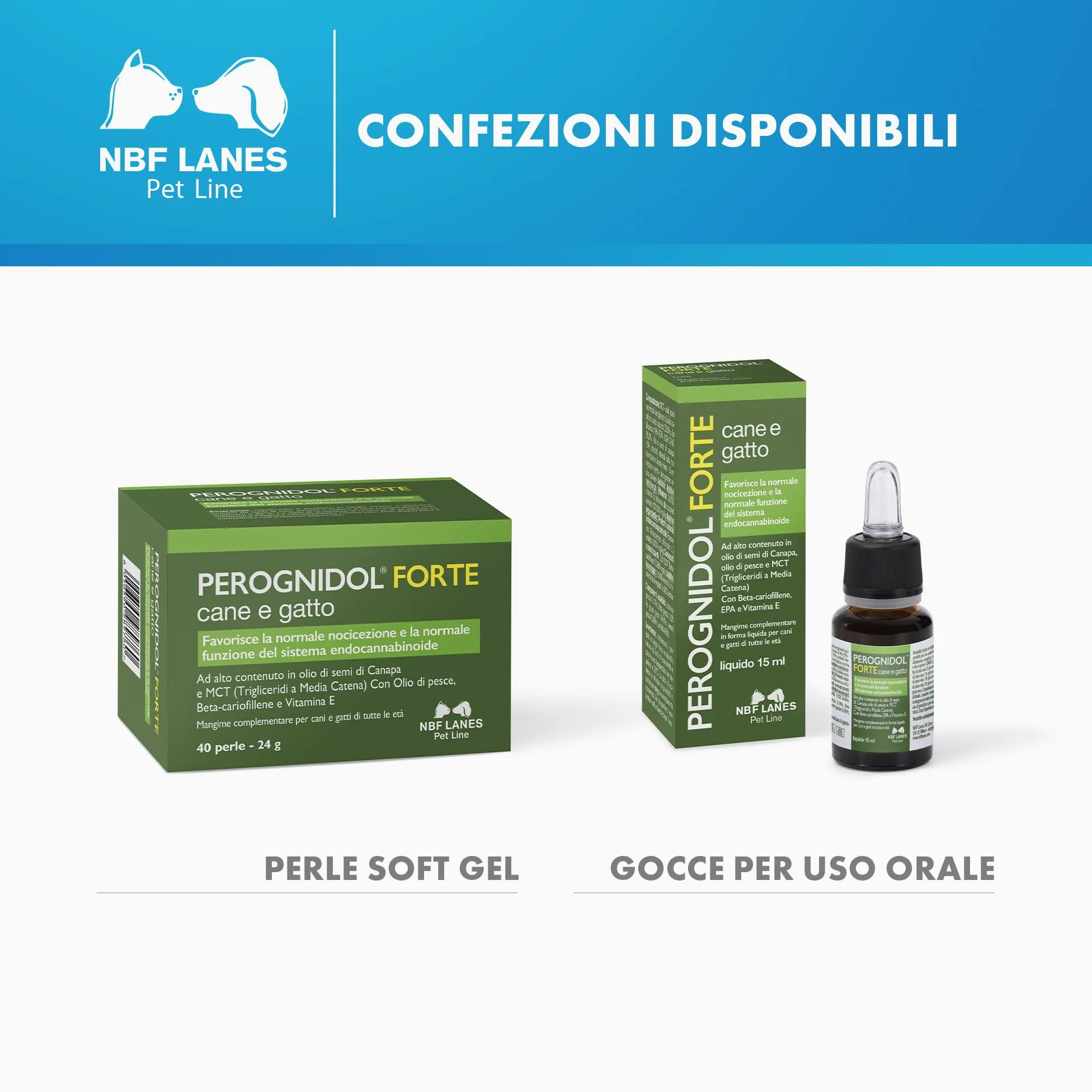 NBF Lanes | Perognidol FORTE Cane e Gatto, 40 perle, Favorisce la Normale Nocicezione e la Normale Funzione del Sistema Endocannabinoide