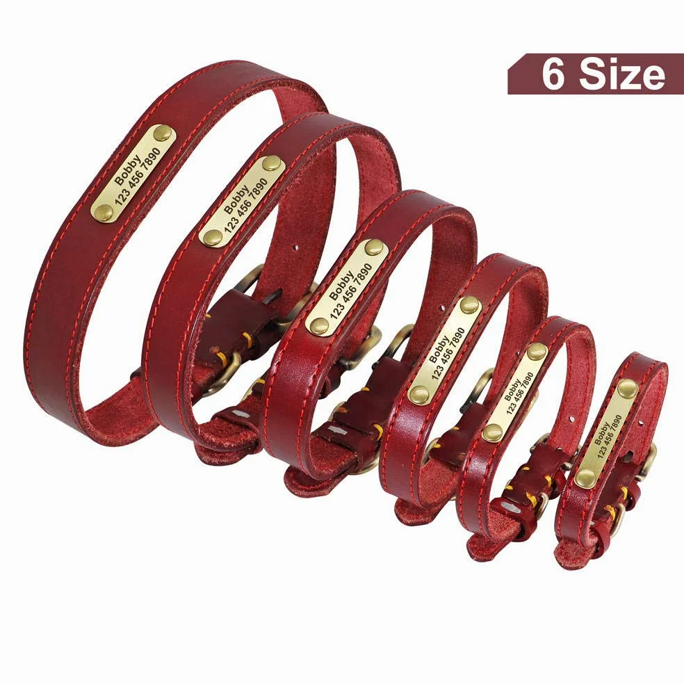 LYVQZPWLRIl Cane Porta, Guinzagli for Animali Domestici, Collare in Pelle Personalizzato for Cani, Fibbia in Pelle Dorata, Collare identificativo for Animali Domestici(Red,XS)