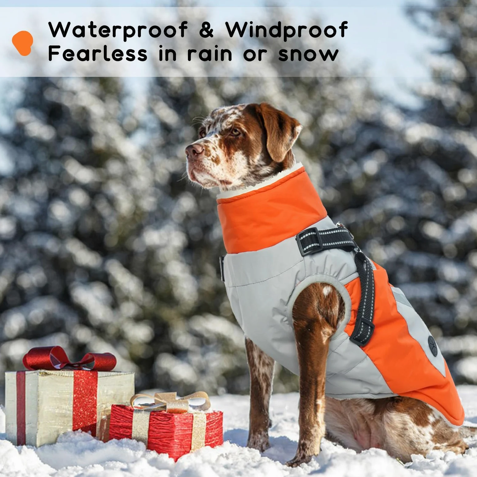 Giacca Impermeabile per Cani, Cappotto per Cani Caldo Inverno Giacca Cani Antivento con Imbracatura Cappotto Neve Cane Gilet Pile Cuccioli Regolabile(Arancione, 2XL)