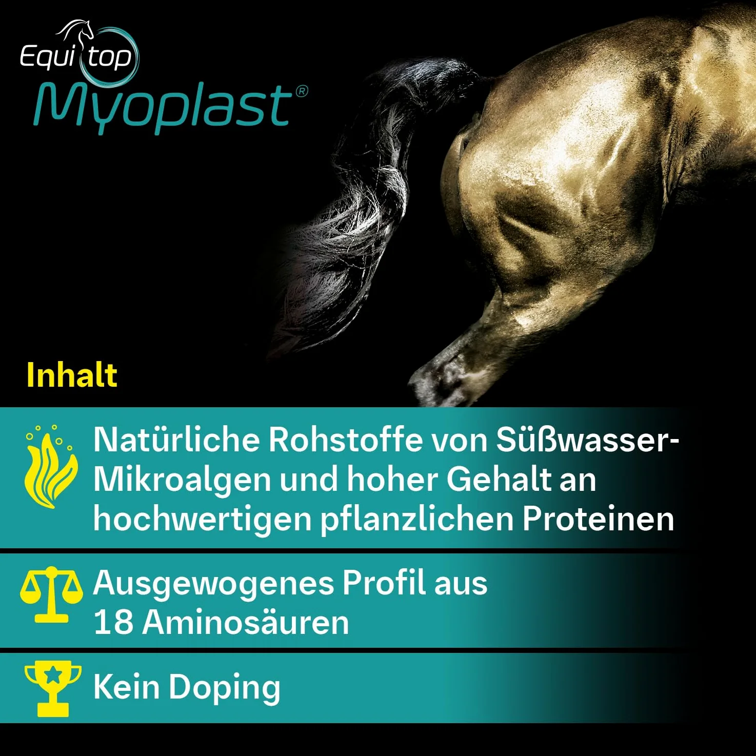EQUITOP Myoplast