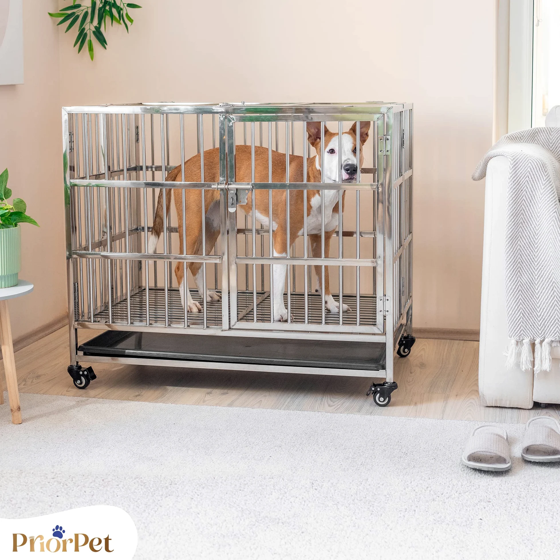 PRIORPET Solida Gabbia per Cani - Design Pieghevole e Facile da Montare per Un Agevole Trasporto - Doppia Serratura per Una Maggiore Sicurezza - Vassoio Rimovibile per Una Rapida Pulizia