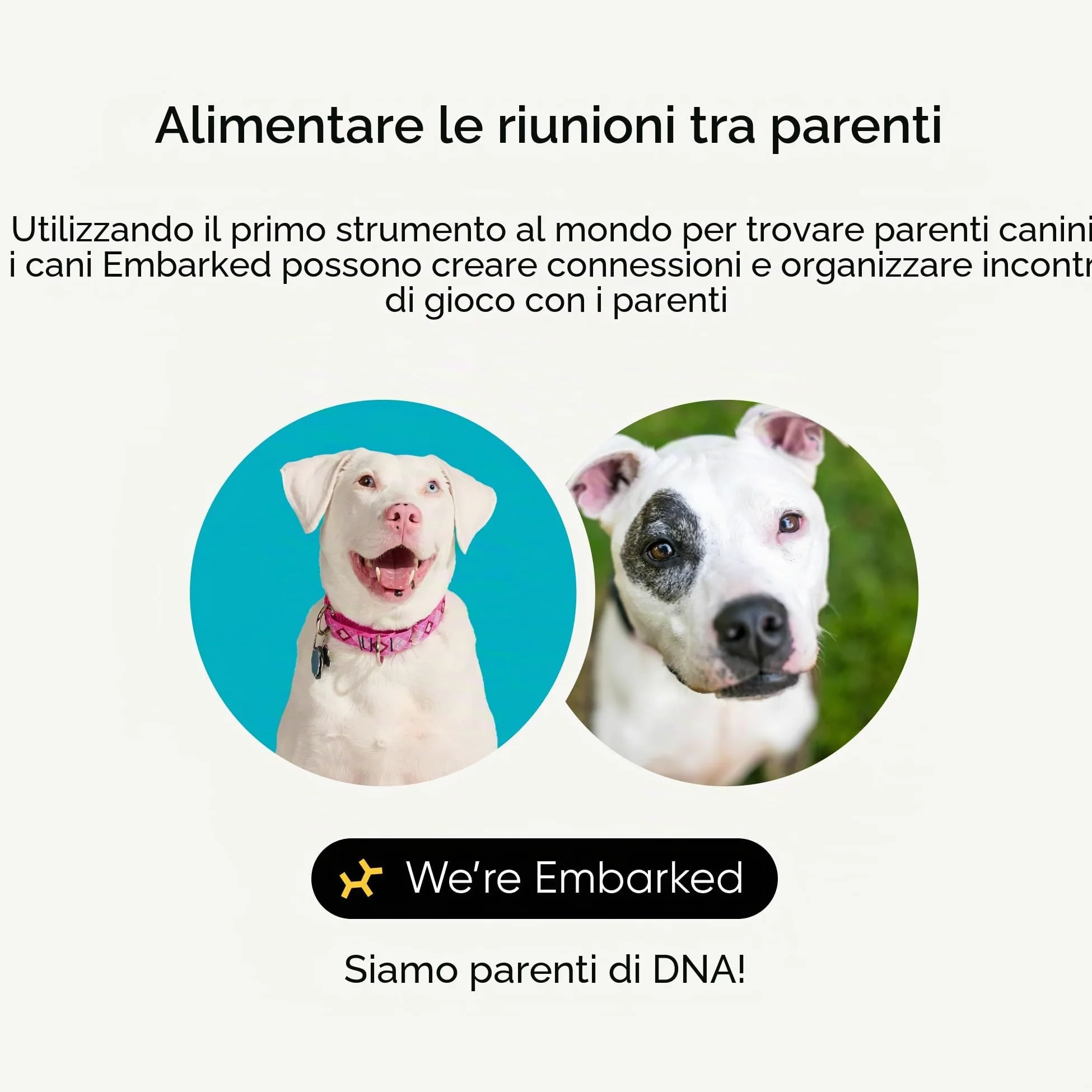 Embark - Test del DNA per cane, kit di identificazione della razza