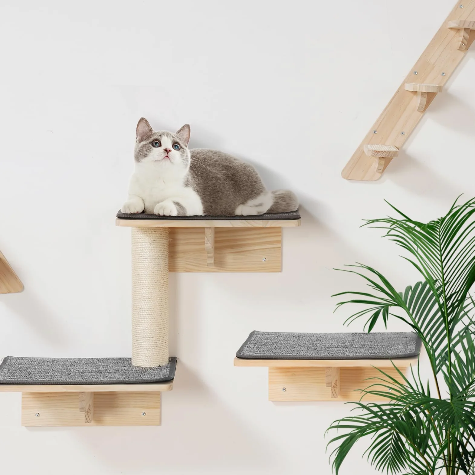 VEVOR Mensole da Parete per Gatti Set da 9, Posatoi Montati a Parete per Gatti con Trampolini, Cucce per gatti, Amache, Set di Mobili da Parete per Gatti Fino a 18,14 kg per Dormire, Arrampicarsi