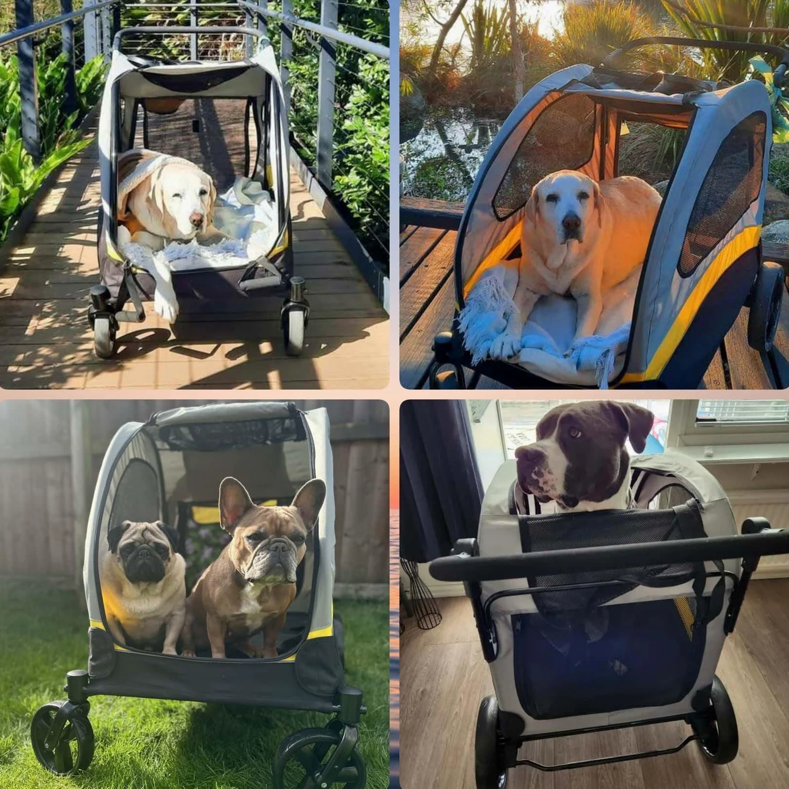 BingoPaw XL Passeggino per cani Grandi 65 kg Passeggino per Animali Domestici Pieghevole, Ruote dei freni per cani, Traspirante, Ammortizzante, Sicuro
