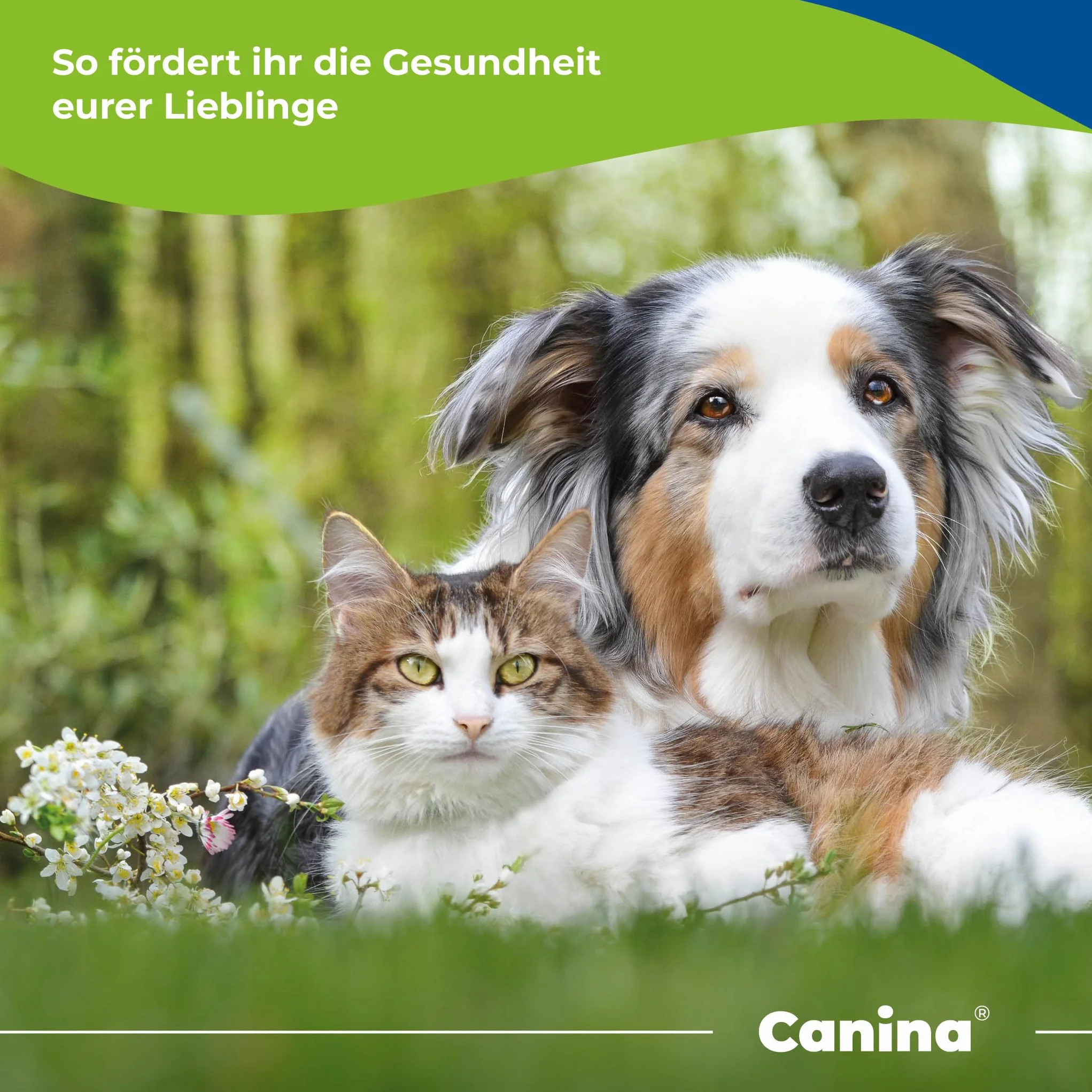 Canina PHARMA GmbH Seealgenmehl 750g