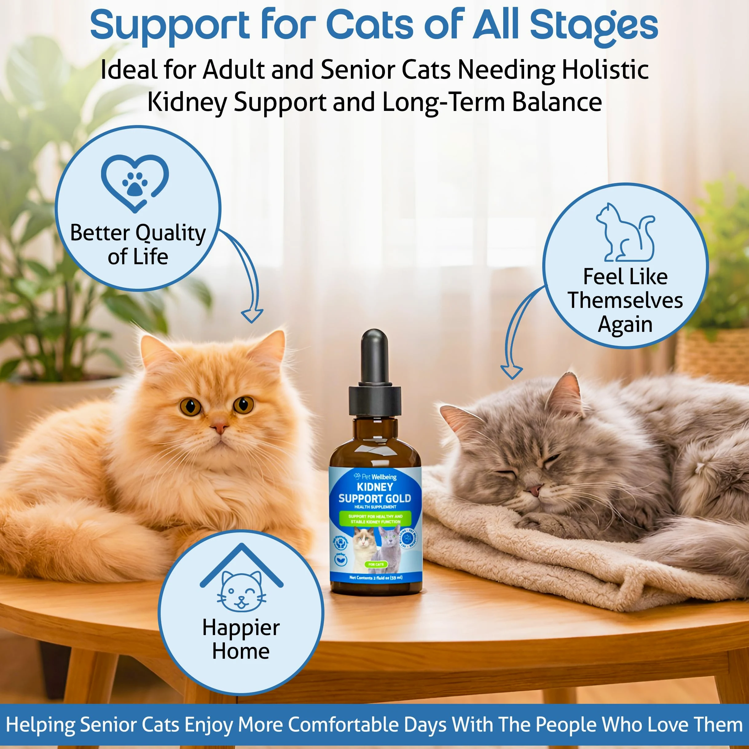 Pet Wellbeing - Supporto Oro Rene Per I Gatti - Il Supporto Naturale Per La Salute Dei Reni Felino - 2 Oz (59Ml)