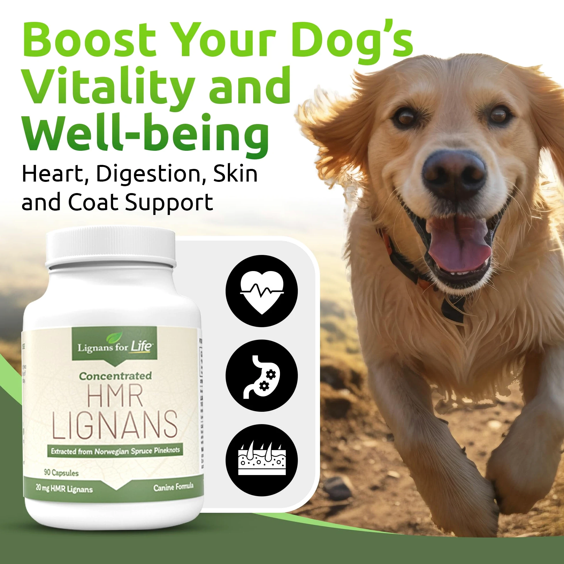 HMR Lignan 20 Mg 90 Ct Bottiglia