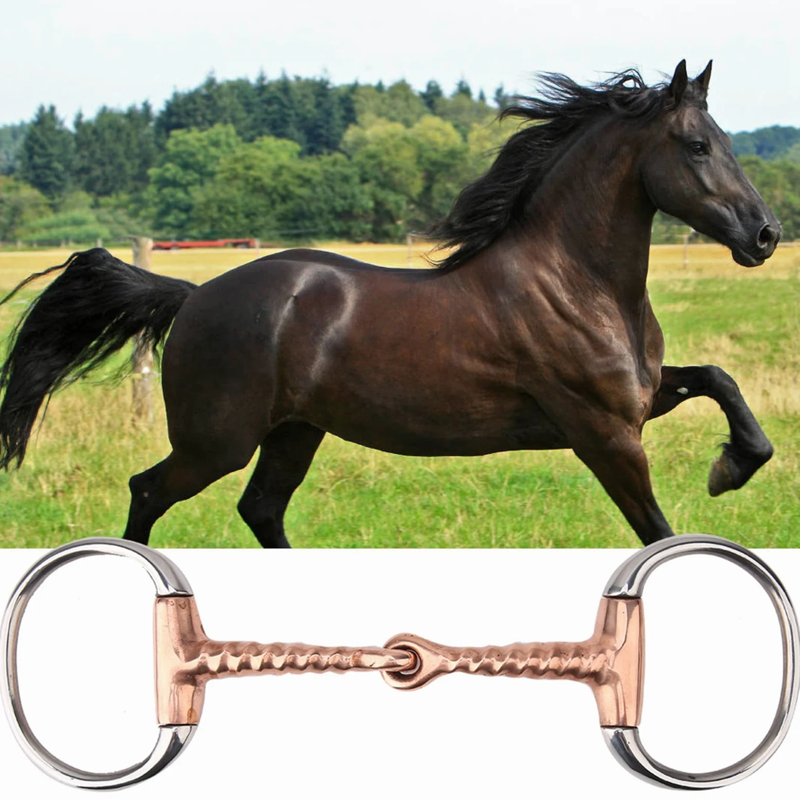 Filetto per Cavalli, Filetto in Acciaio Inossidabile Filetto in Rame Cavatappi Bocca Filetto per Cavallo Morso per Cavallo Forniture per Cavalli da Masticare