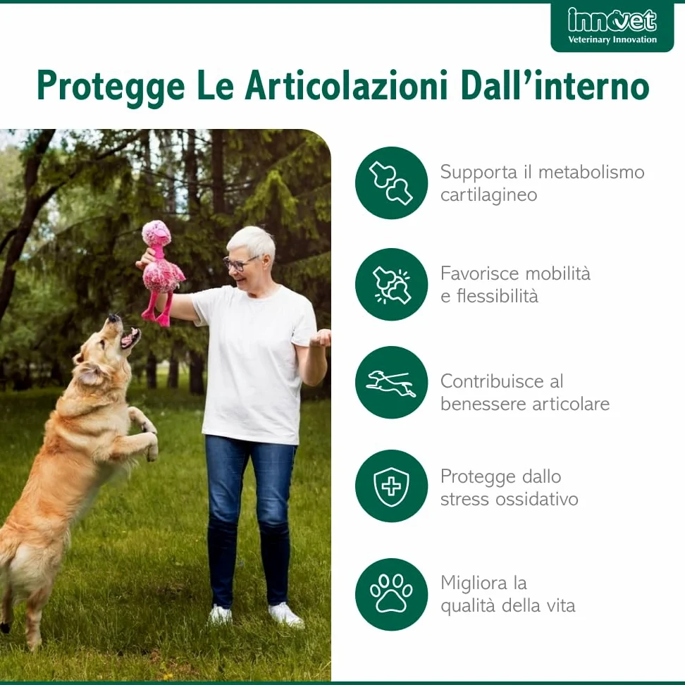 Innovet Condrostress Mobility per Cani Adulti e Anziani Che Soffrono di rigidità articolare – 60 Soft Chews – Supporta Il metabolismo cartilagineo e la Mobilità