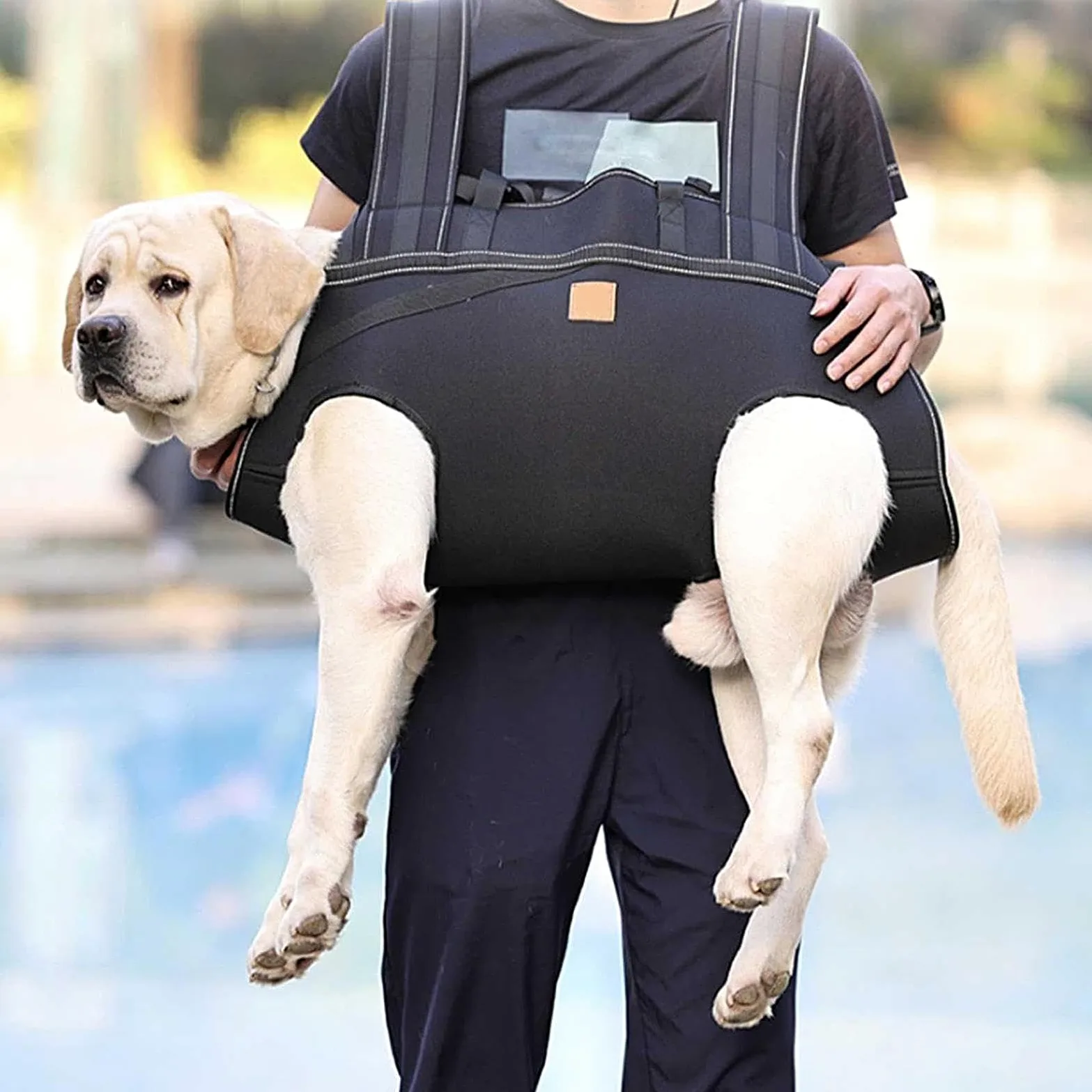 Imbracatura Per Sollevamento Cani Pettorina Regolabile Traspirante | Imbracatura Per Trasporto Cani Per Cani Anziani E Razze Grandi, Alla Mobilità, Riabilitazione, Passeggiate Quotidiane,