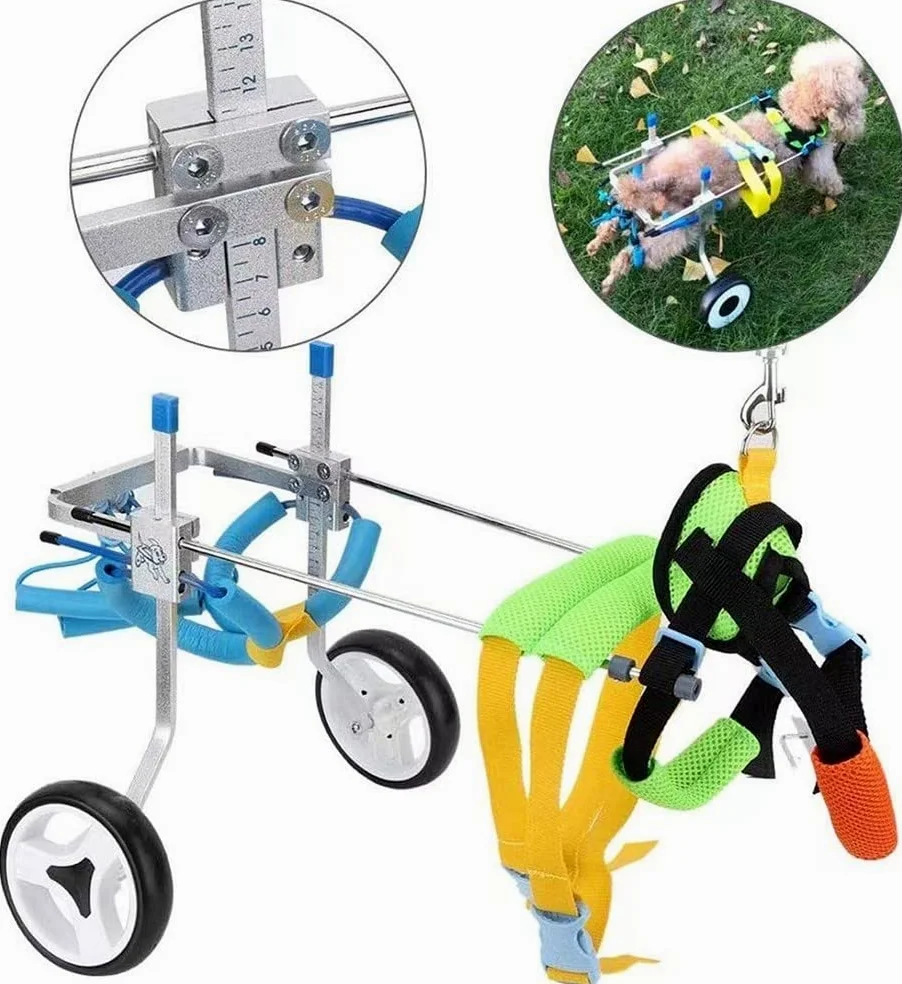 REMEK Sedia A Rotelle per Zampe Posteriori Cani, Carrello per Animali Piccolo/Medio/Grande Pet Walk Assistant per La Riabilitazione delle Zampe Posteriori