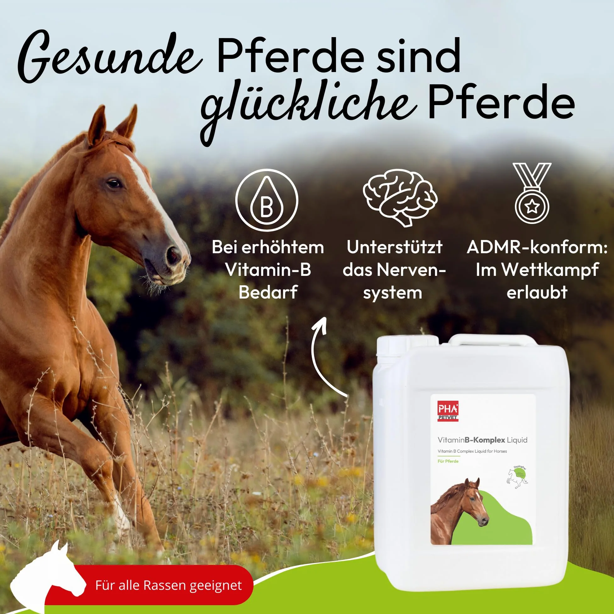 PHA Vitamina B complesso cavallo: supporta nervi, zoccoli, pelo e metabolismo, liquido anti-stress per cavalli, per lenire, vitamine B 5 l