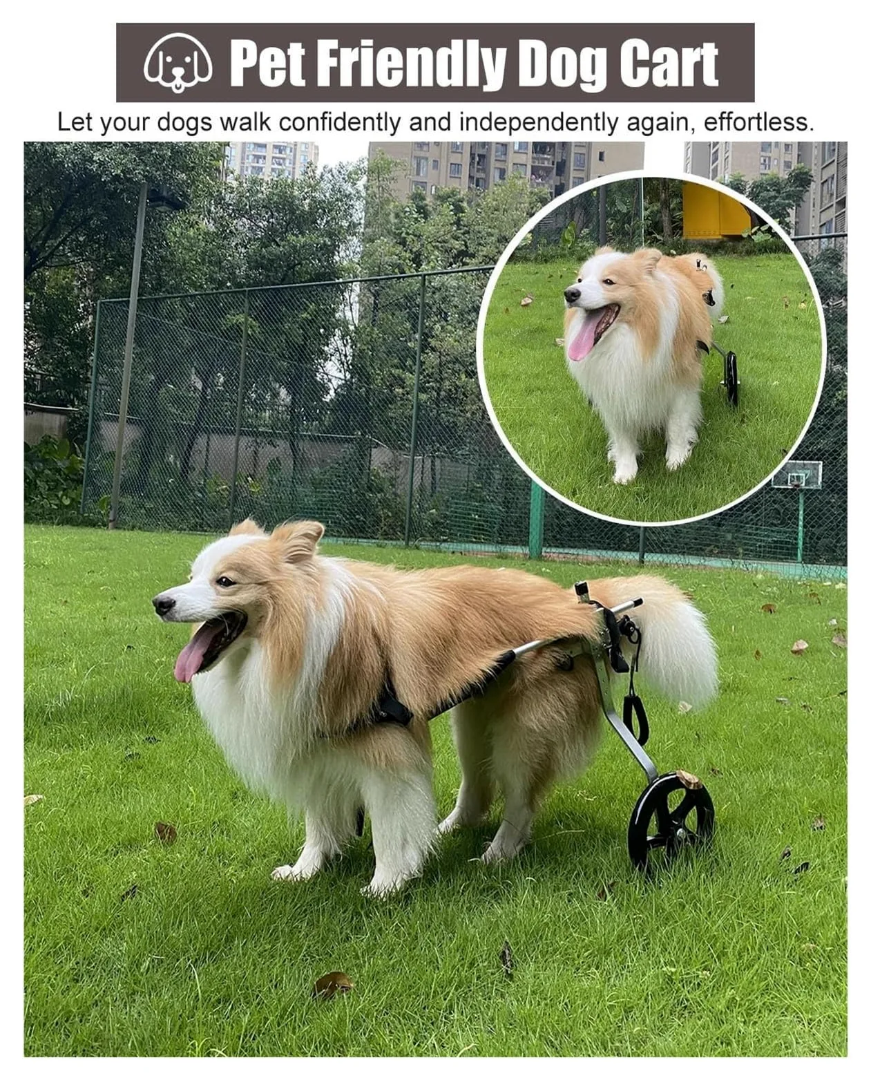 Carrello Cani Disabili, Sedia a rotelle per Cani, Deambulatore assistito a 2 Ruote for Arti Posteriori paralizzati, Carrello for la Mobilità in Alluminio(Size XXXL)