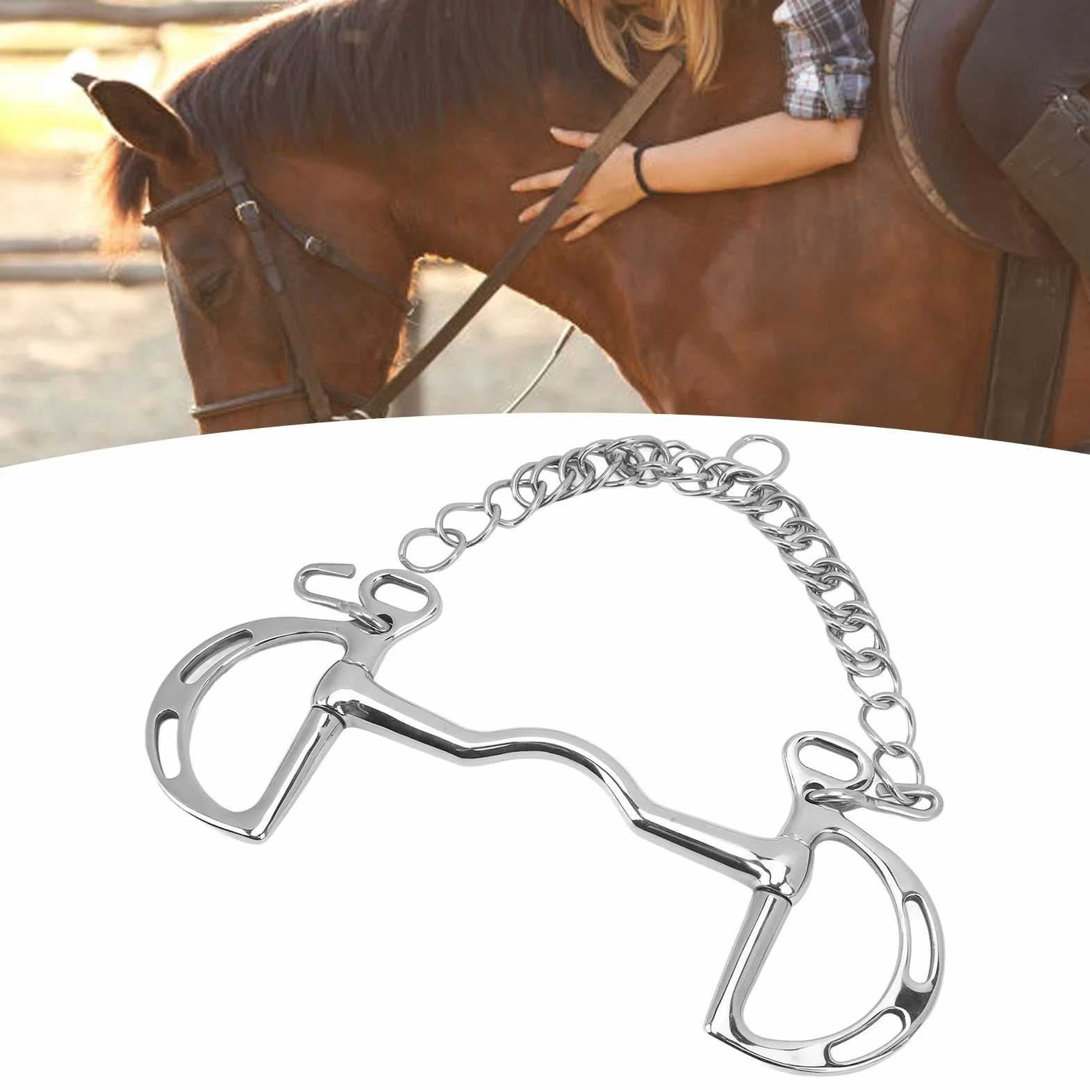 BestAlice Filetto per Cavallo, Morso per Cavallo in Acciaio Inossidabile Filetto per Cavallo da Masticare, Anello a D Filetto per Cavallo in Acciaio Inossidabile Filetto per Bocca di Cavallo con Caten