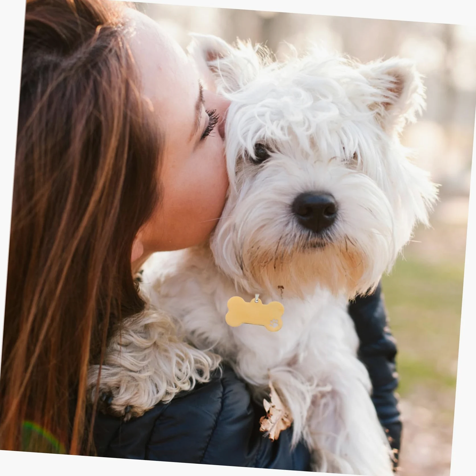 Mipcase 15pezzi Medagliette Inossidabile Per Targhette Per Domestici Incisione Personalizzata Accessori Per Pet