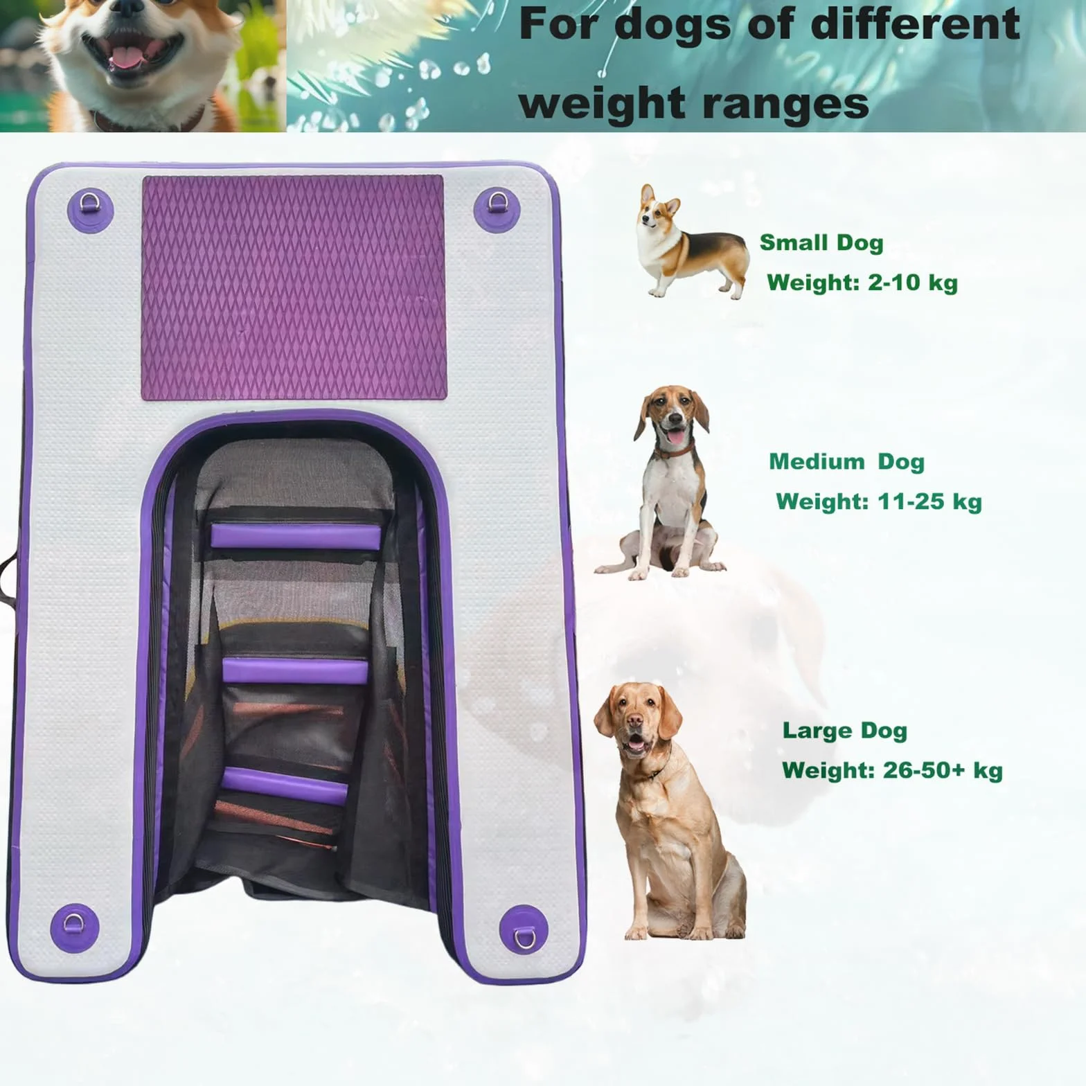HEYLIFE Rampa Gonfiabile Per Cani cancelletti e Rampe Inflatable Dog Water Pool Ramp Per Piscina Fino a 100 kg Purple 120x90x10cm